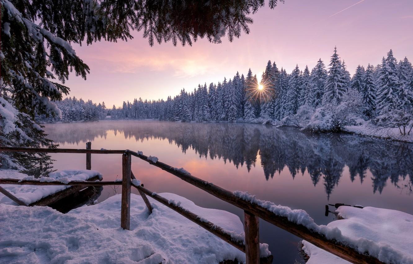 Dramatic Winter Twilight In Forest Wallpapers