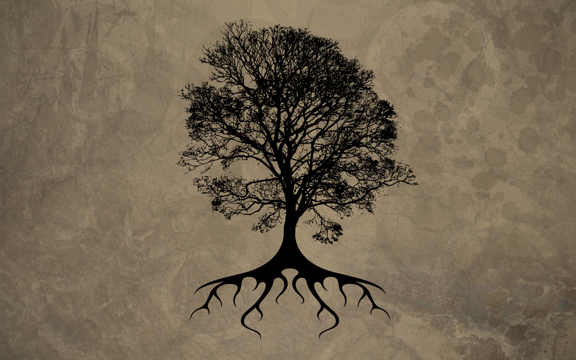 Dying Tree Wallpapers