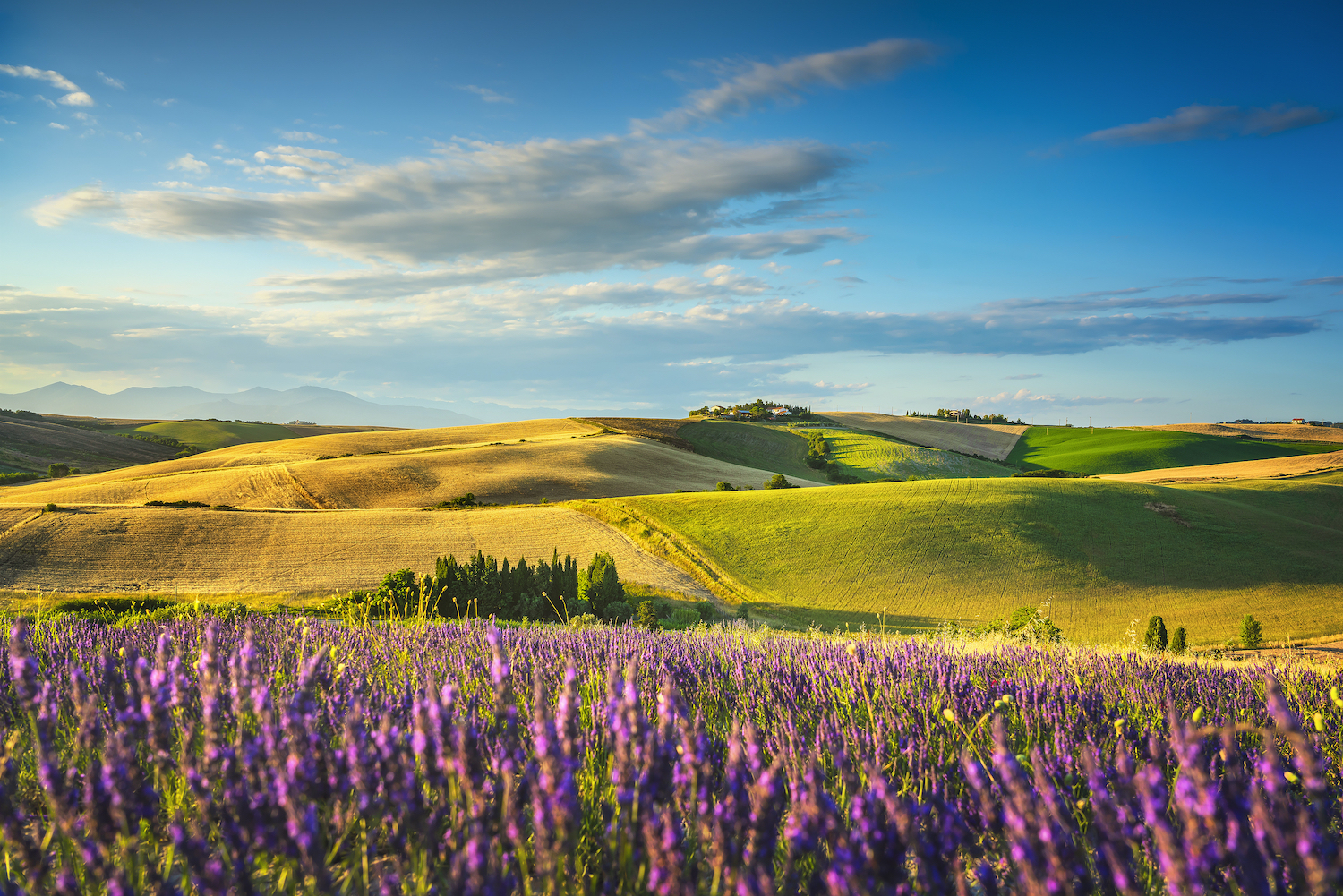 Europe Italy'S Tuscany Summer  Hills Field With House Wallpapers