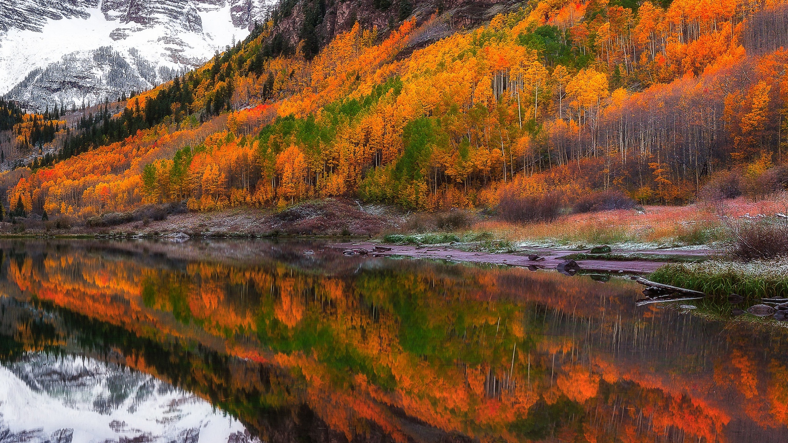 Fall Foliage Forest Lake Nature Reflection Wallpapers