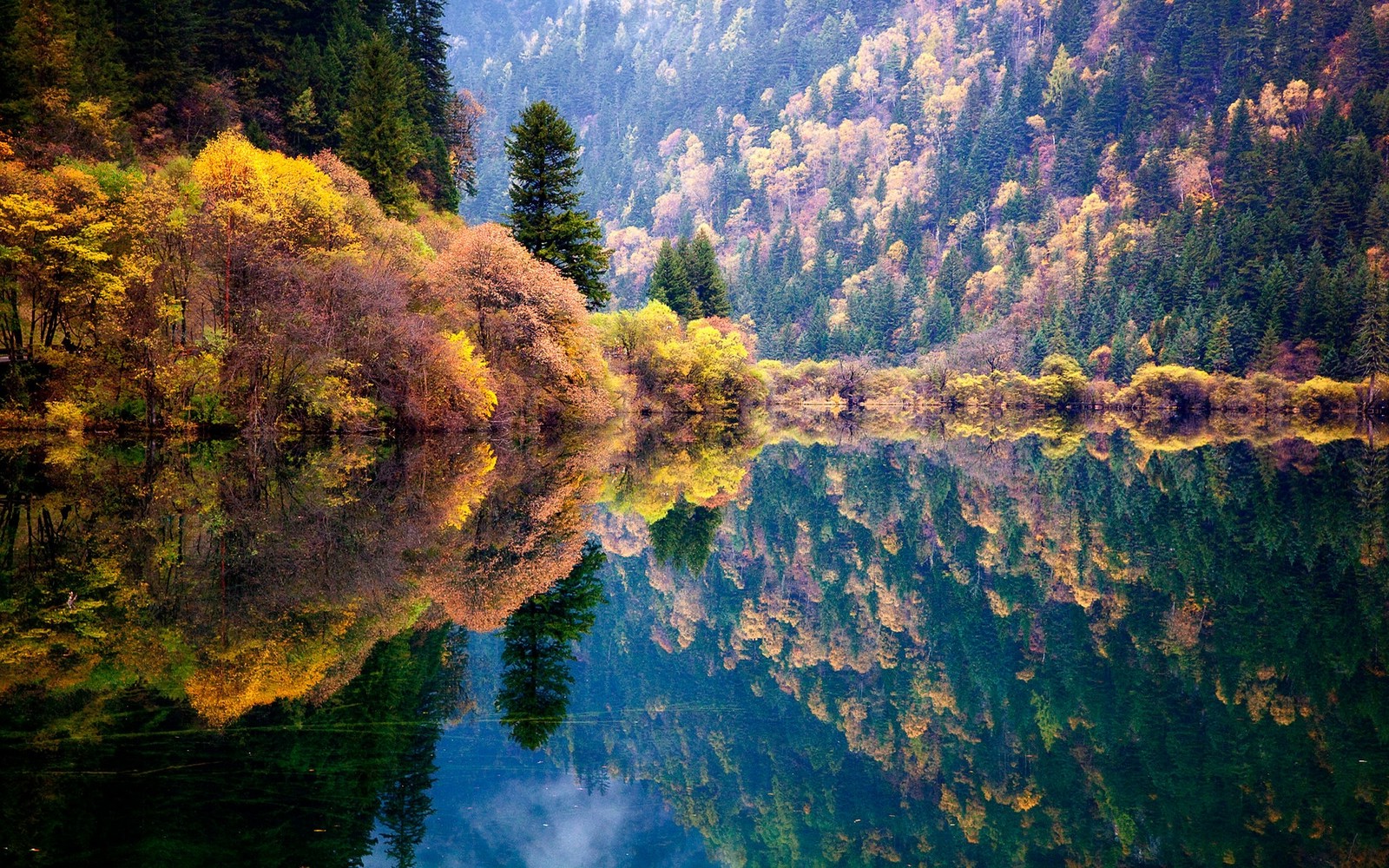 Fall Foliage Forest Lake Nature Reflection Wallpapers