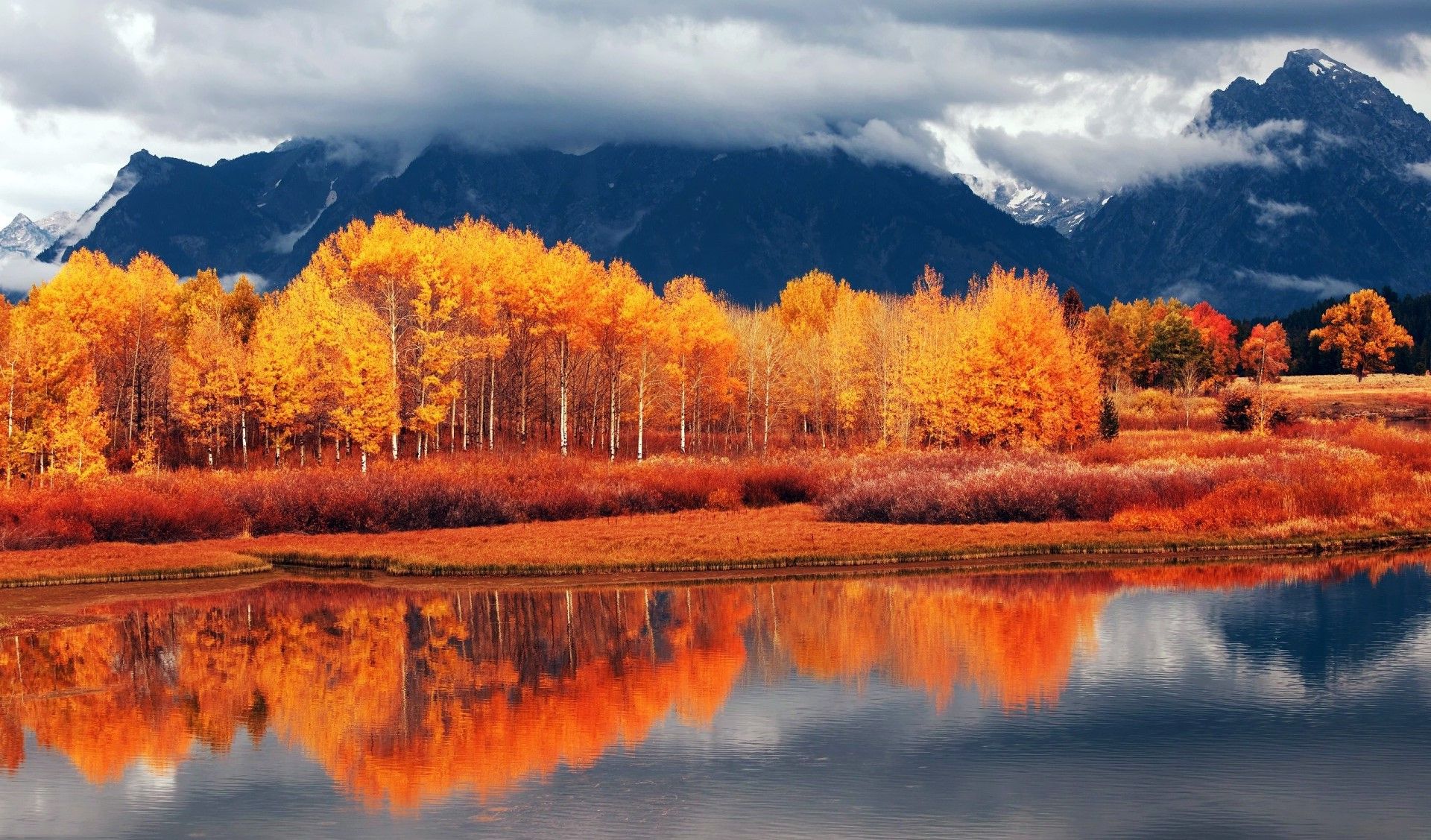 Fall Foliage Forest Lake Nature Reflection Wallpapers