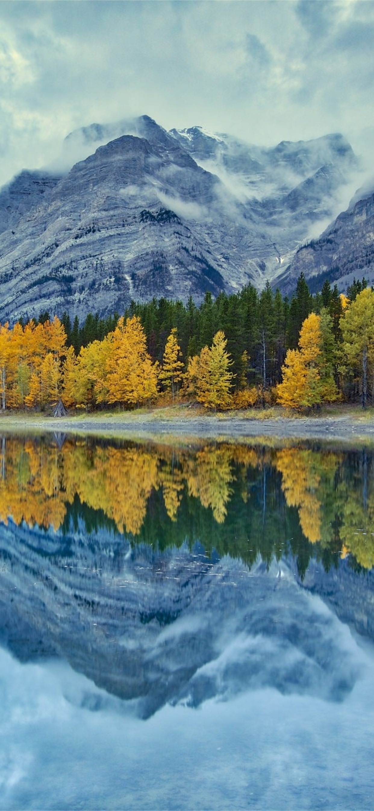 Fall Foliage Forest Lake Nature Reflection Wallpapers