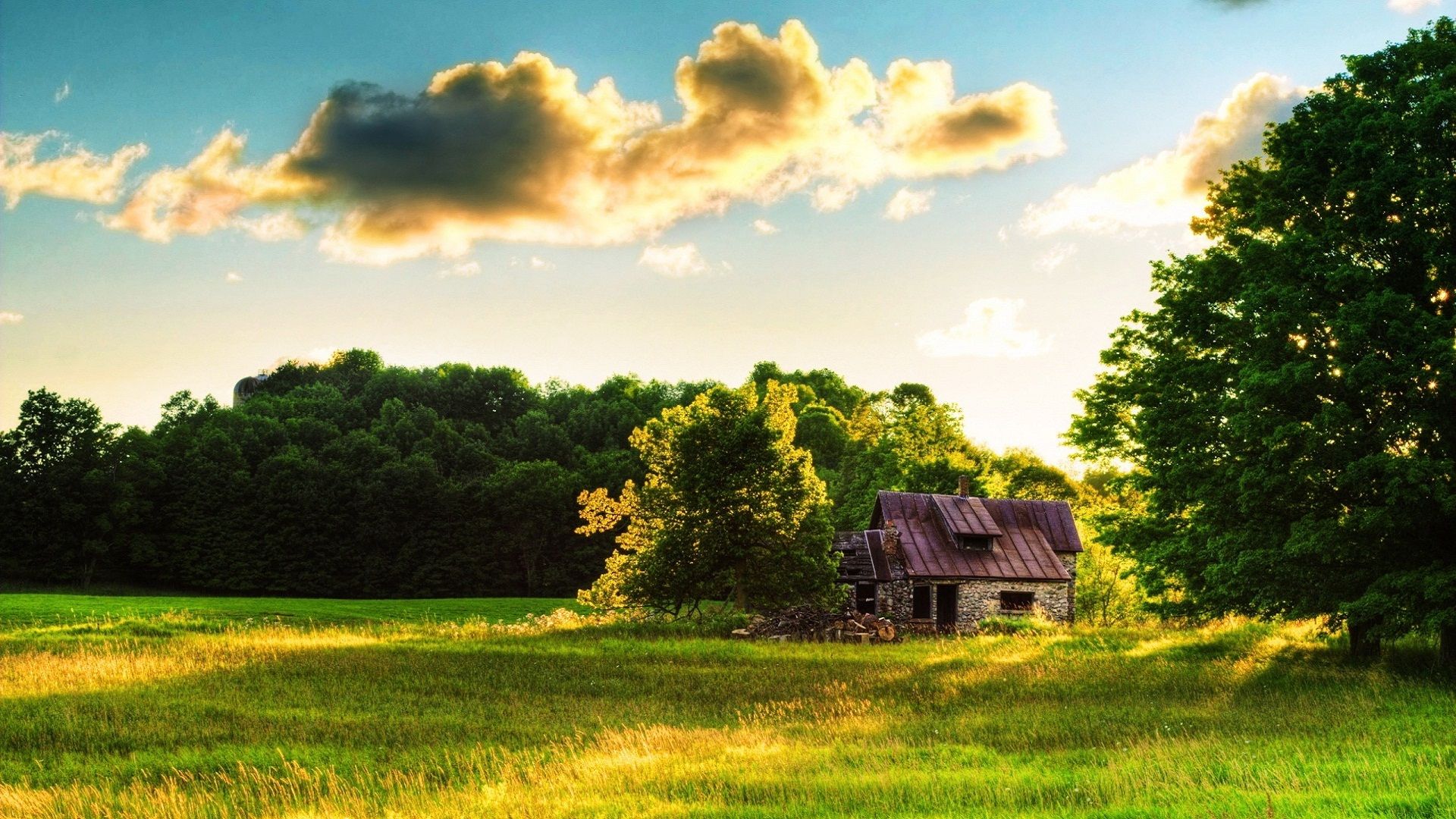 Farmhouse Field Wallpapers