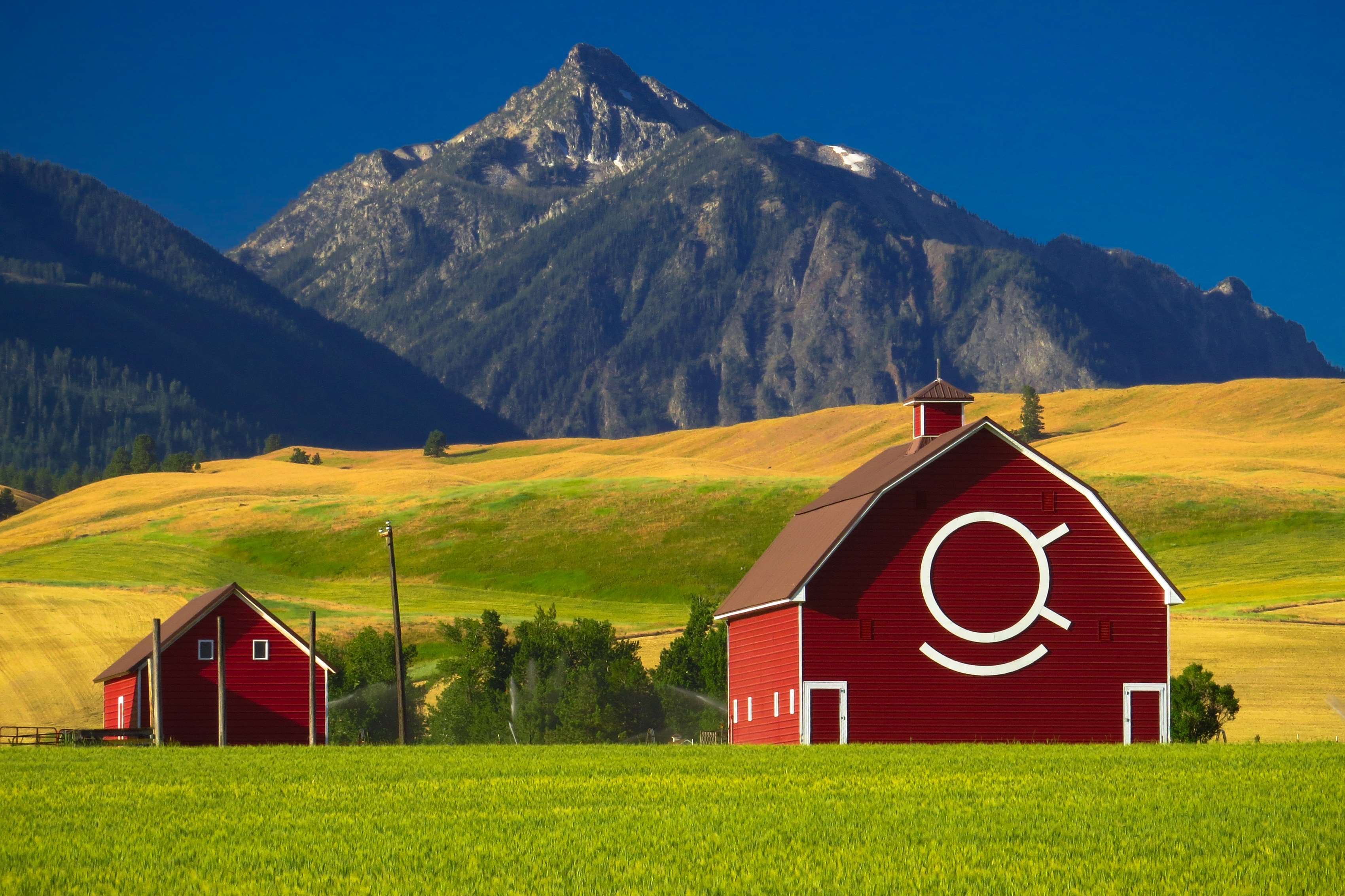 Farmhouse Field Wallpapers