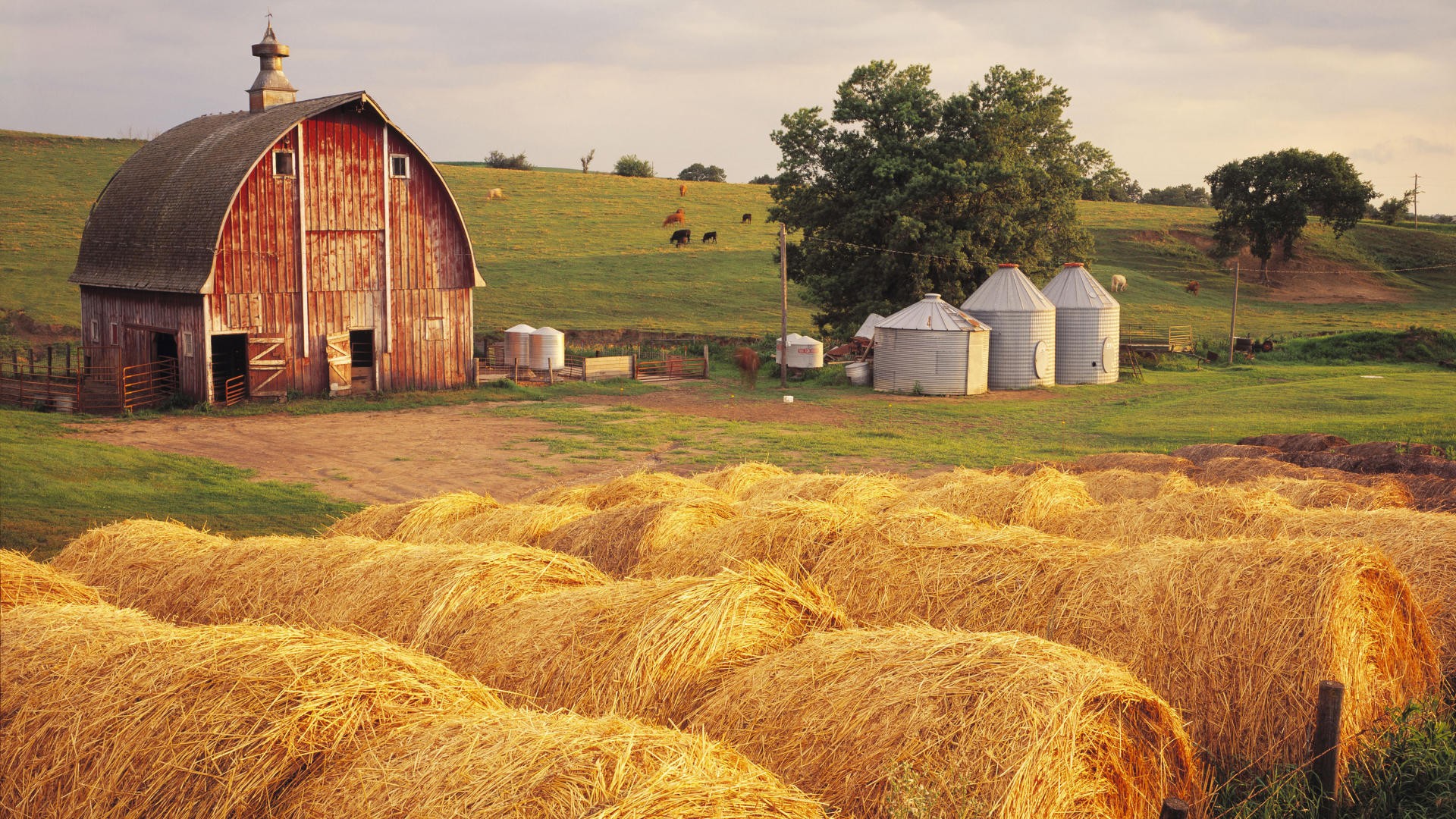 Farmhouse Field Wallpapers