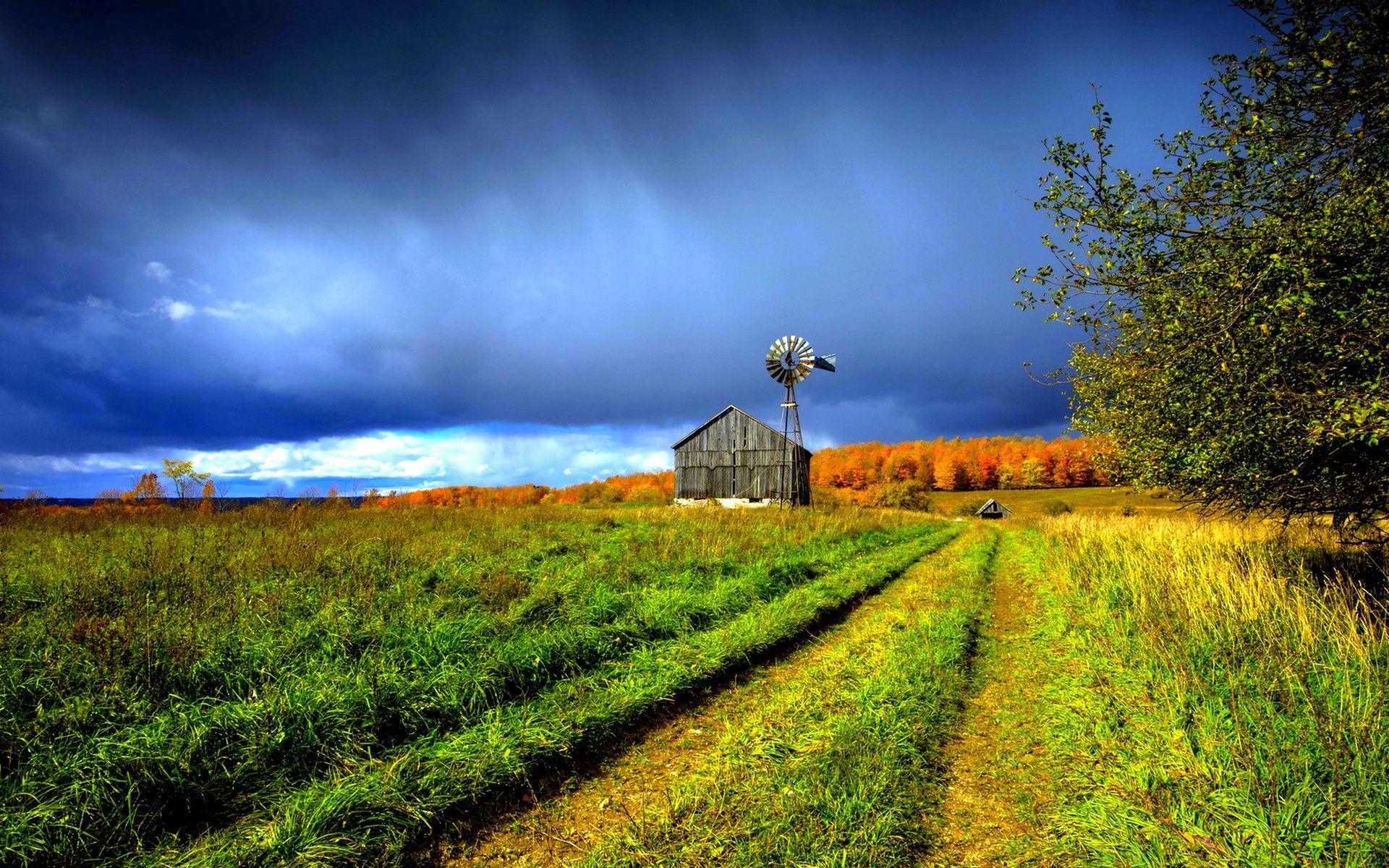 Farmhouse Field Wallpapers