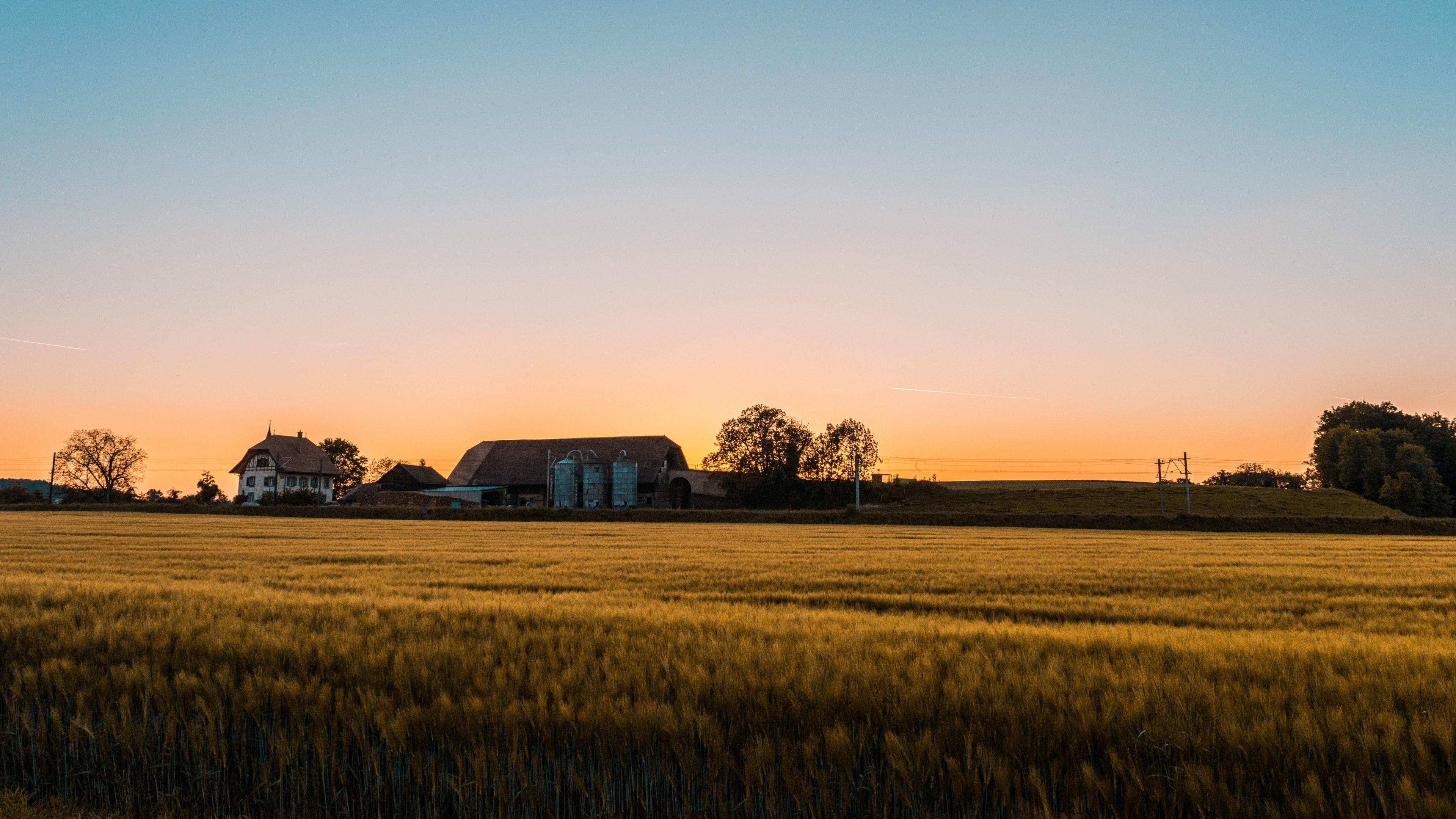 Farmhouse Field Wallpapers