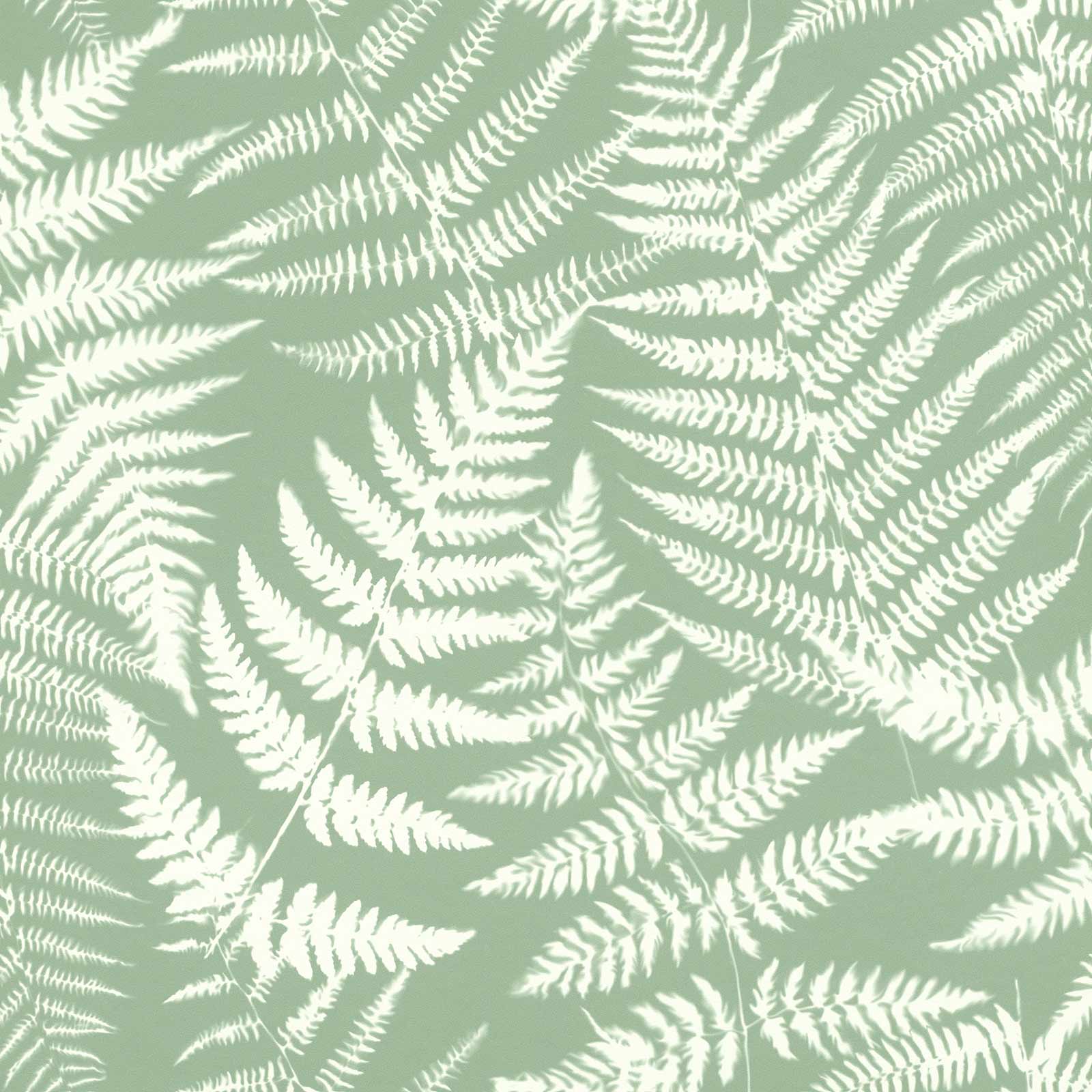 Fern Wallpapers