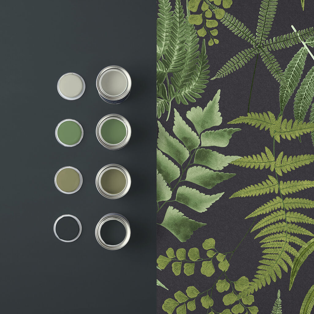 Fern Wallpapers