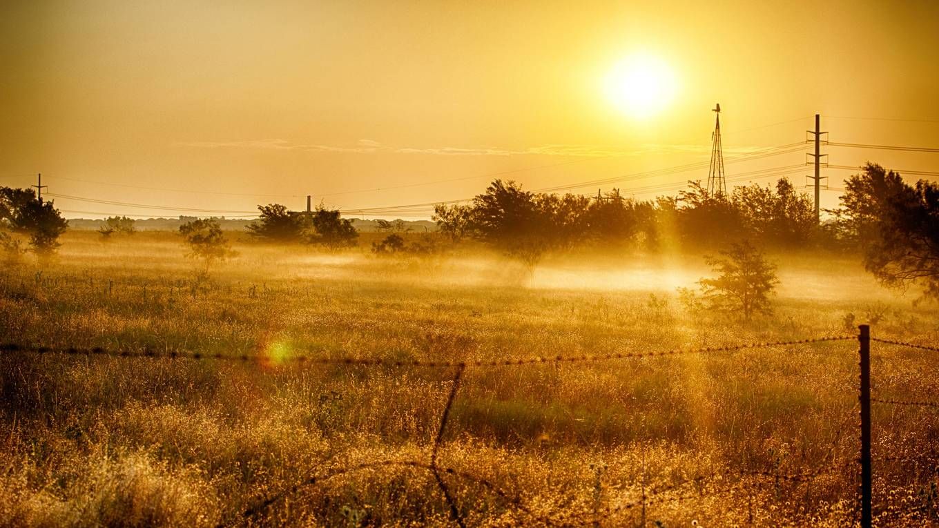 Field Sunrise Wallpapers