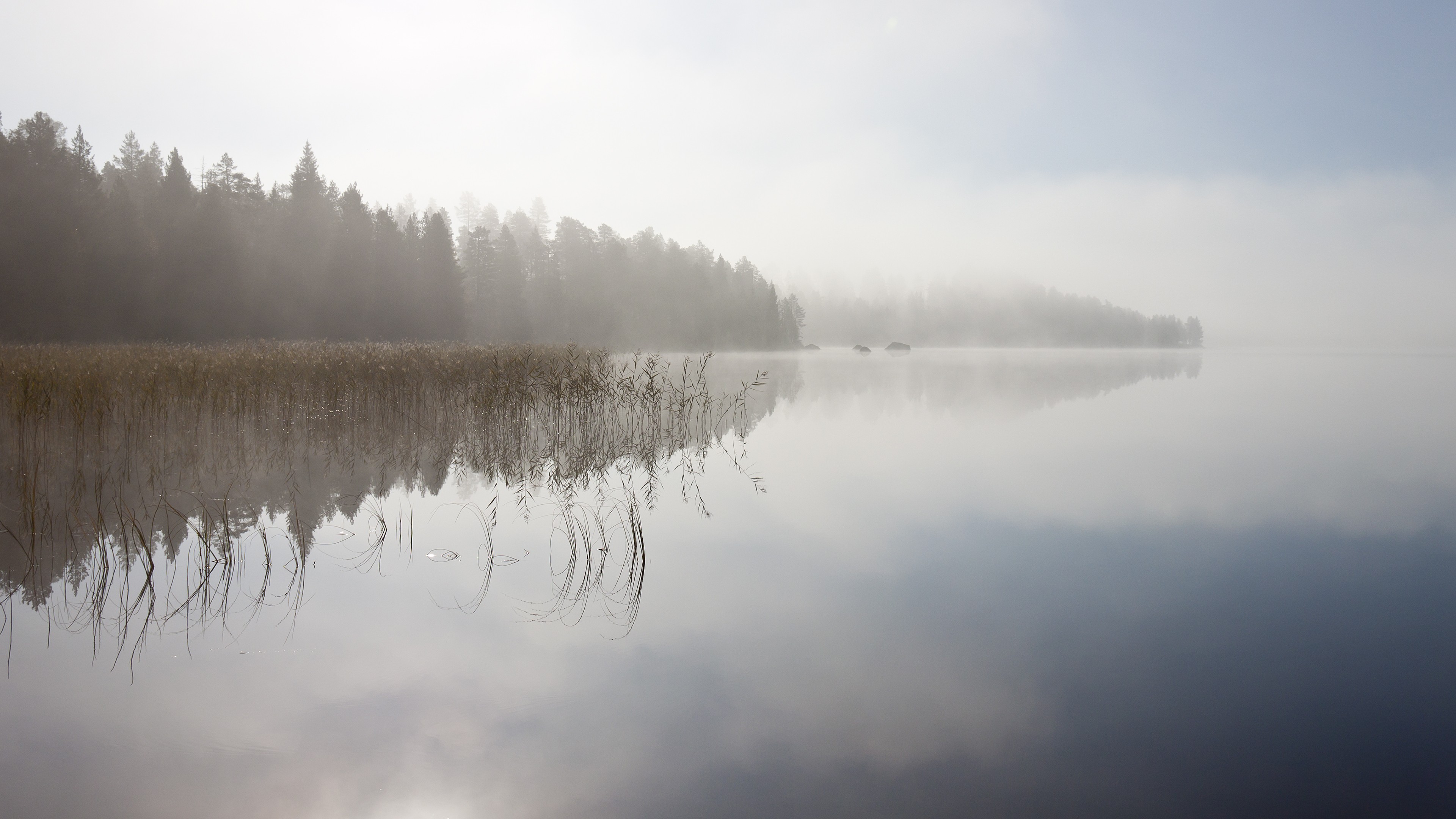 Fog Over Lake Wallpapers