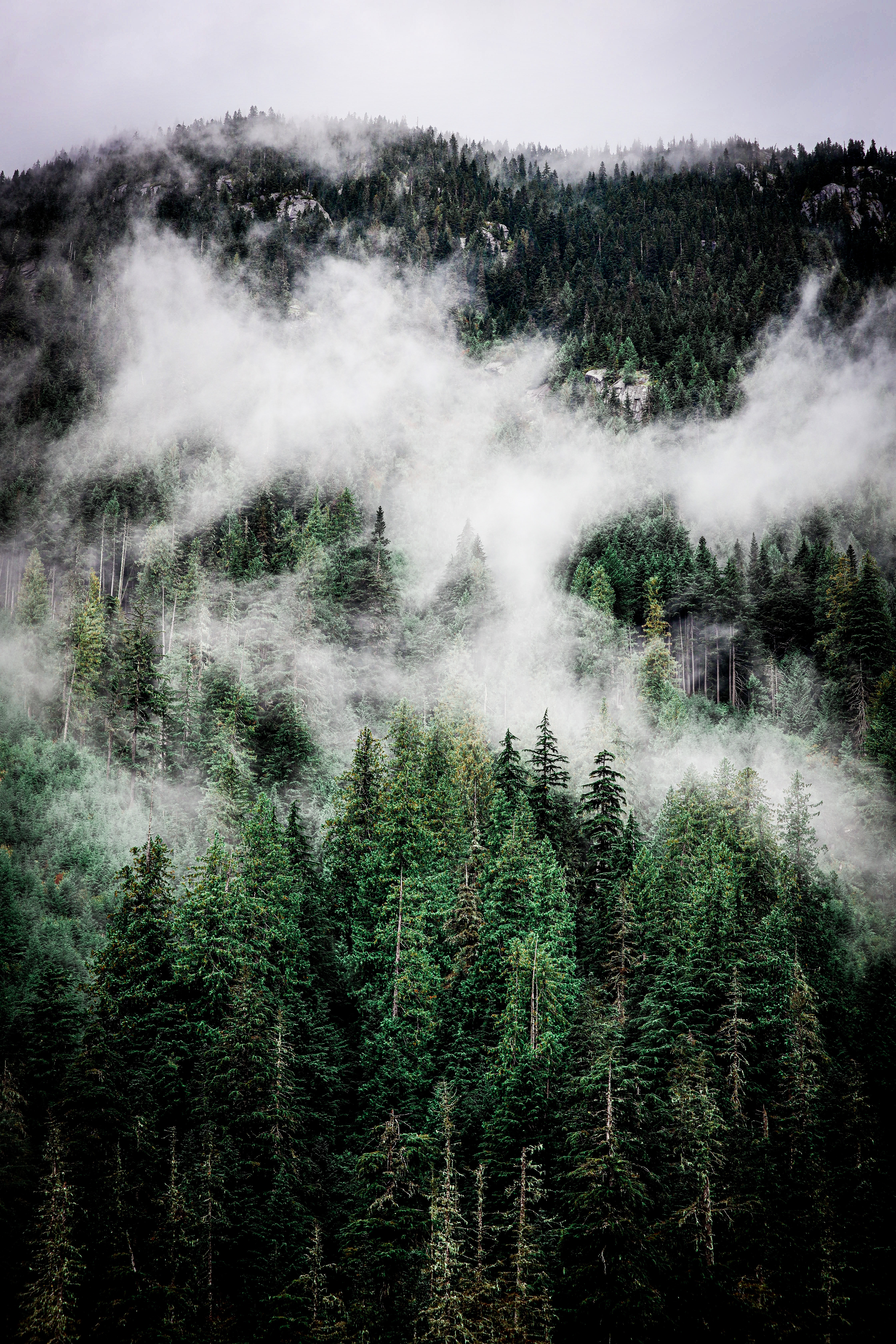 Foggy Mountains Wallpapers