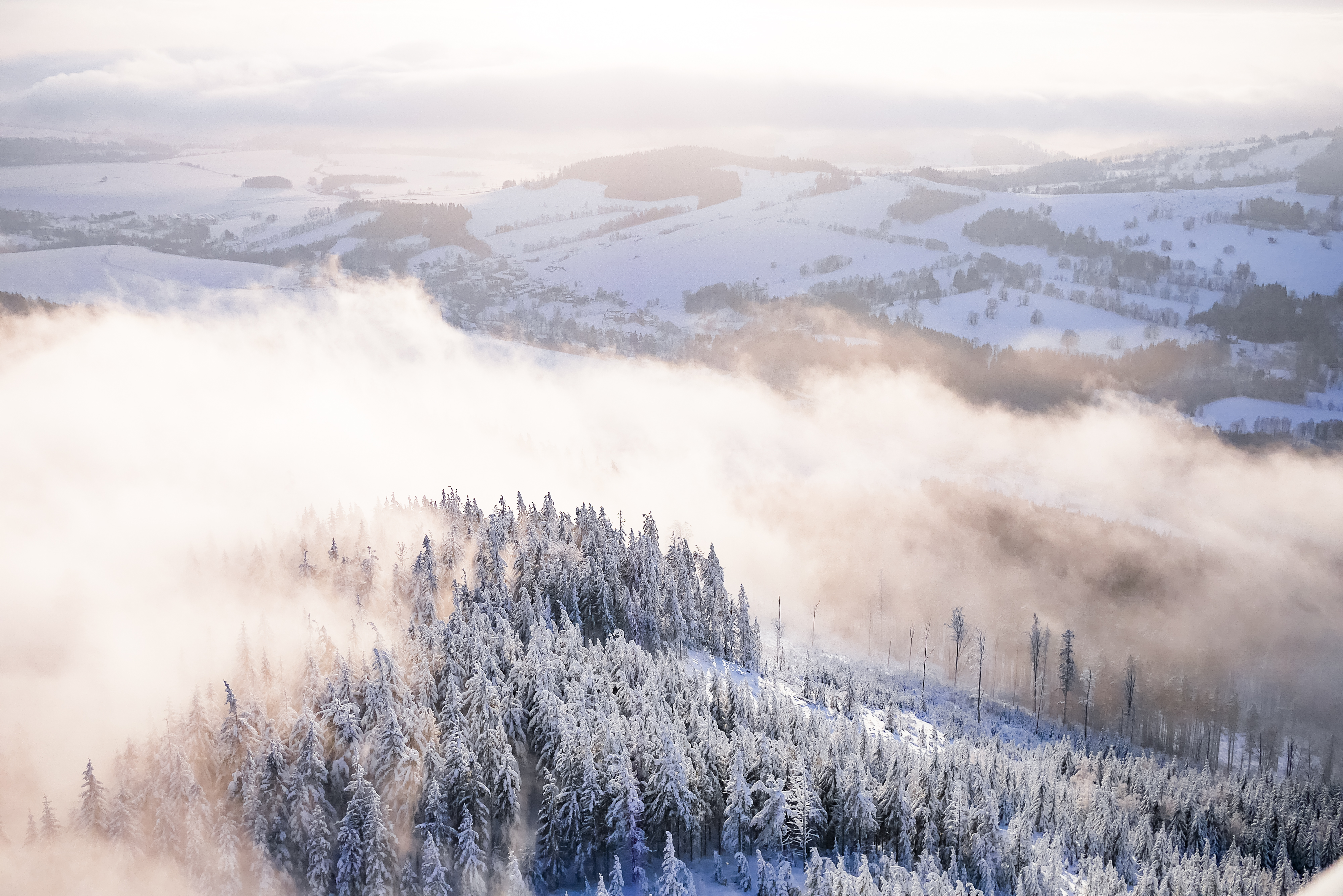 Fogy Forest Winter Day Wallpapers