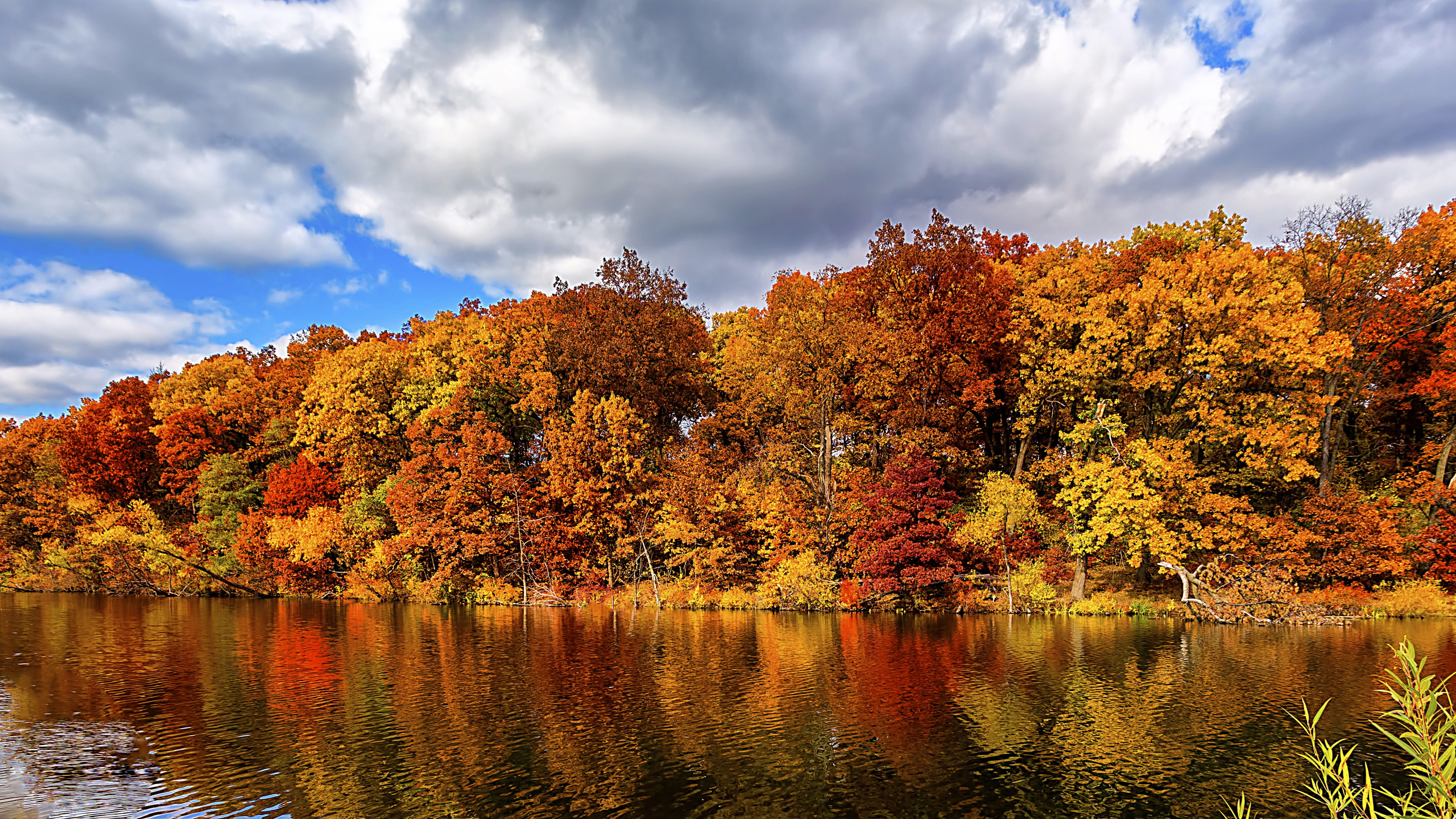 Forest In Autumn Wallpapers