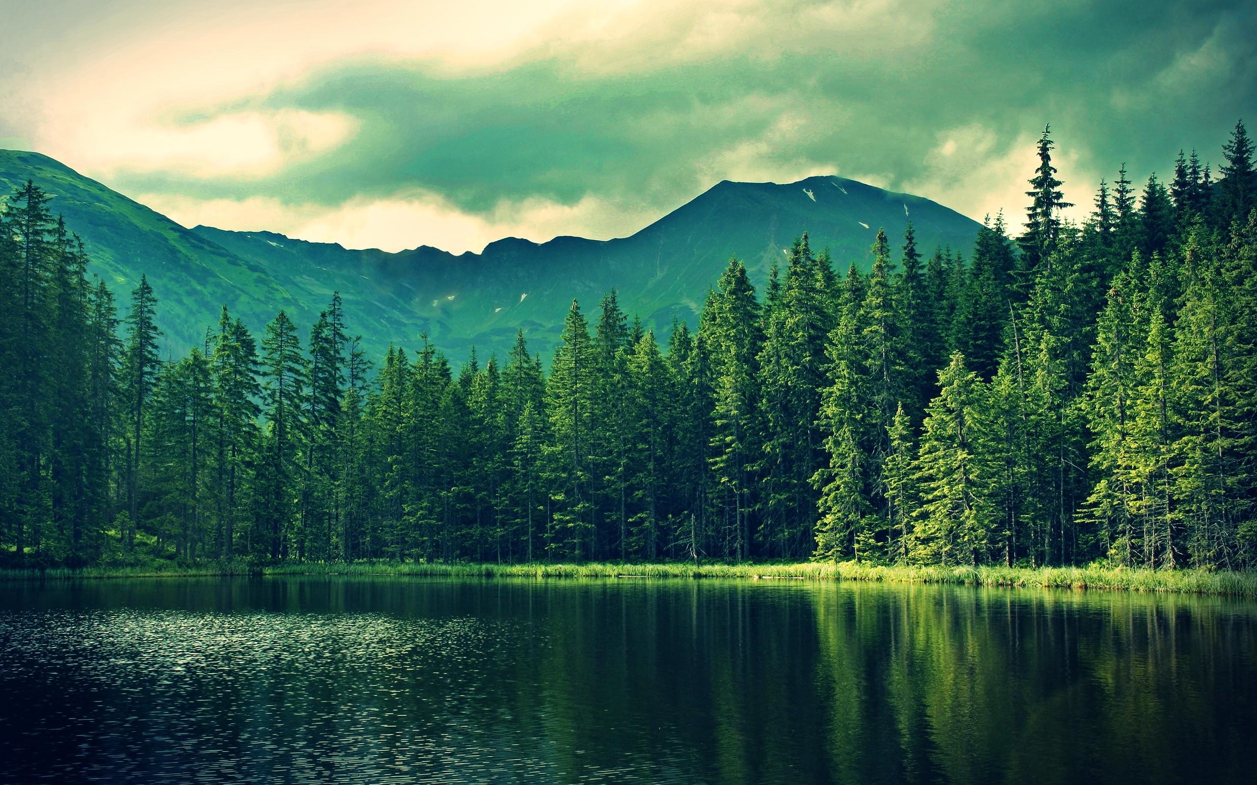 Forest Lake Landscape Wallpapers