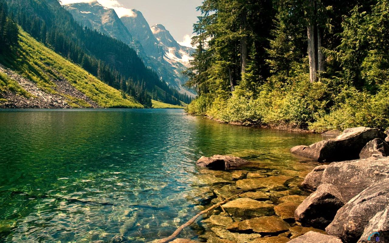 Forest Lake Landscape Wallpapers