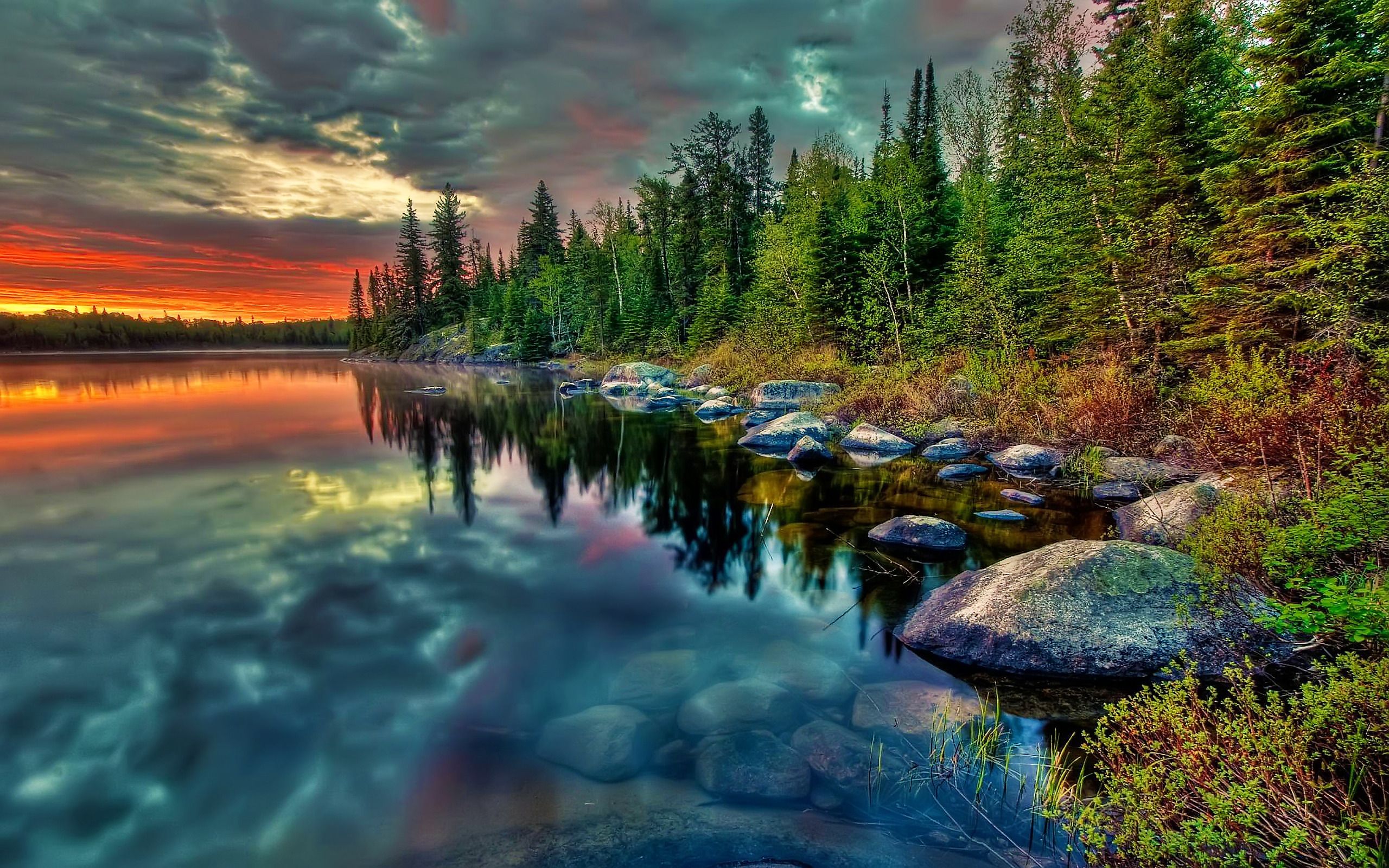 Forest Lake Landscape Wallpapers