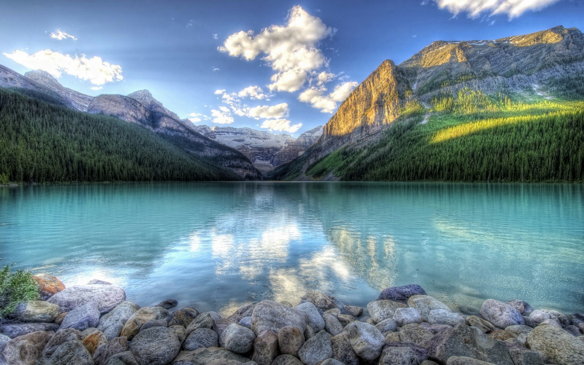 Forest Lake Landscape Wallpapers