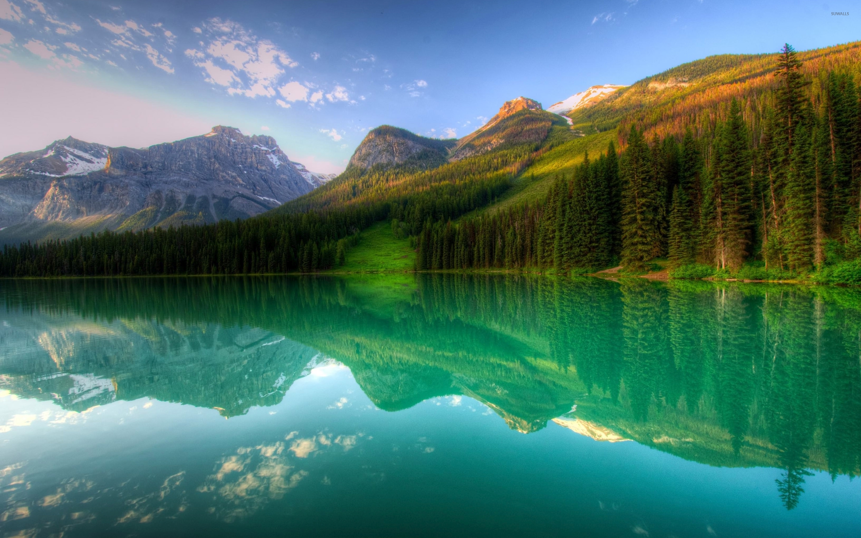 Forest Lake Landscape Wallpapers