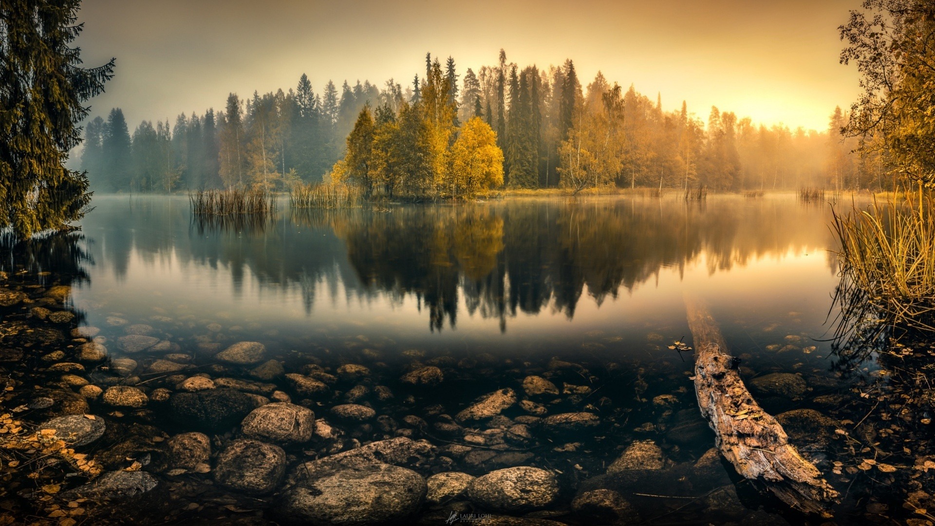 Forest Lake Landscape Wallpapers