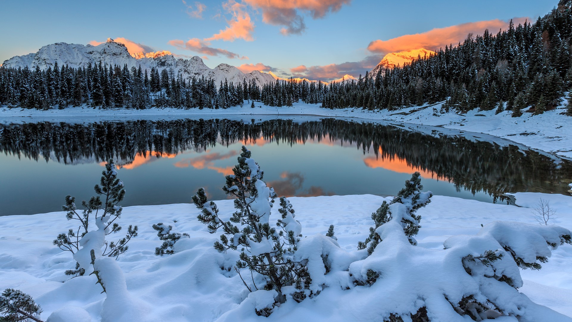 Forest Lake Mountains Snow Wallpapers