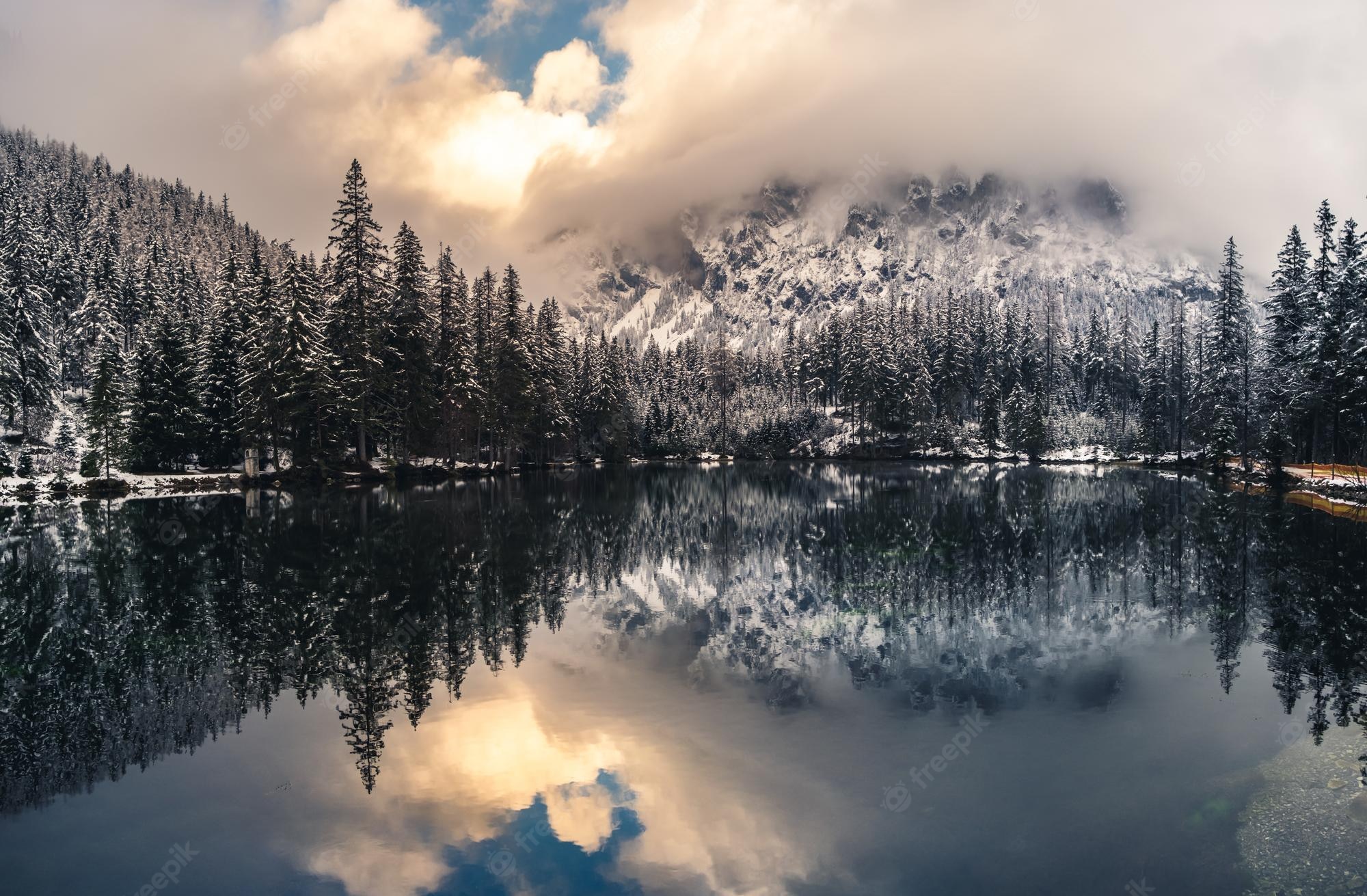 Forest Lake Mountains Snow Wallpapers