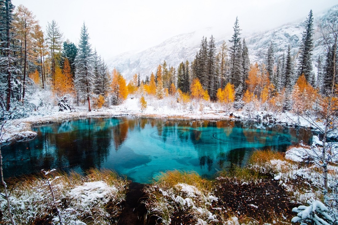 Forest Lake Mountains Snow Wallpapers