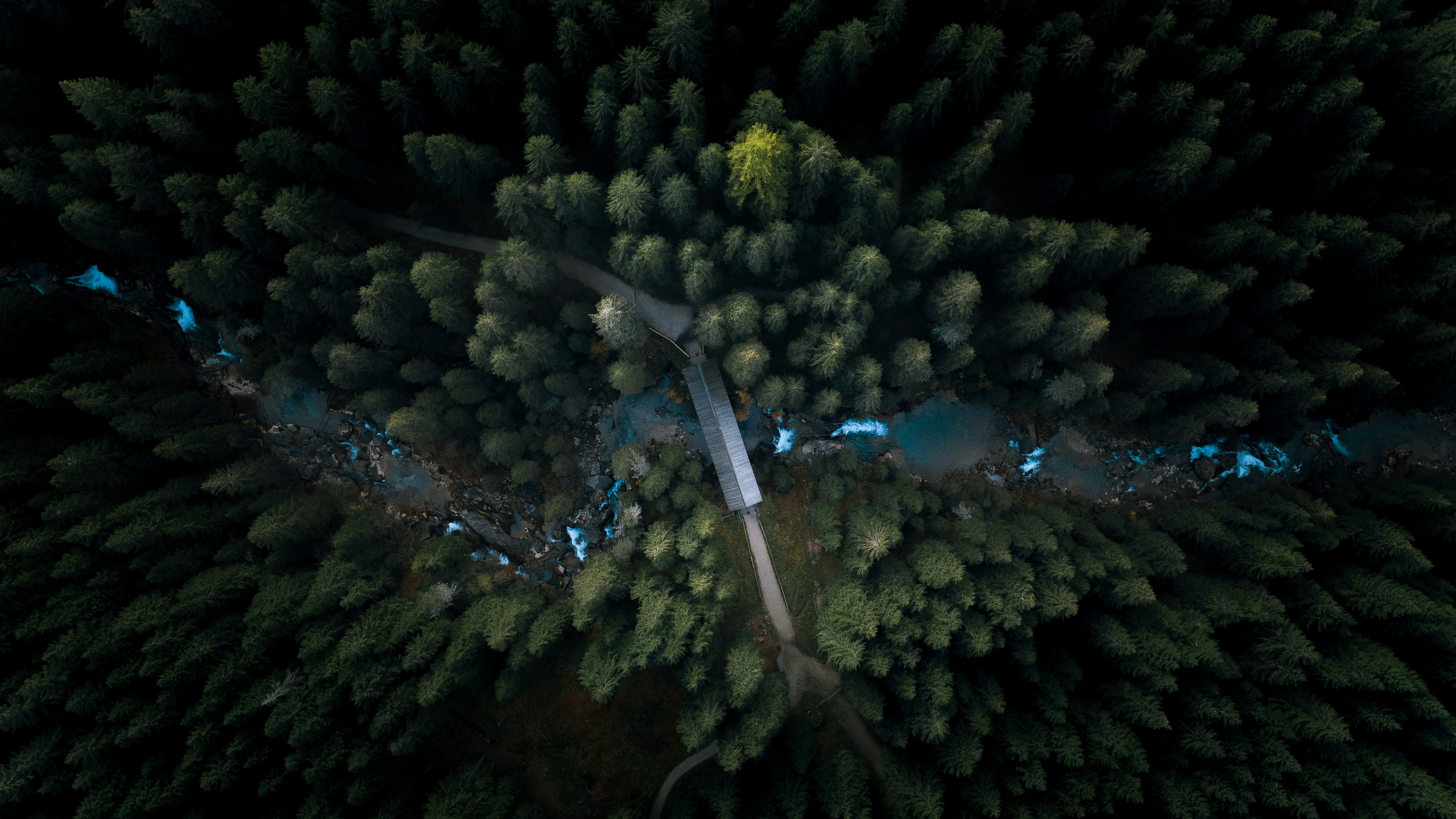 Forest Landscape Hd Aerial View Wallpapers