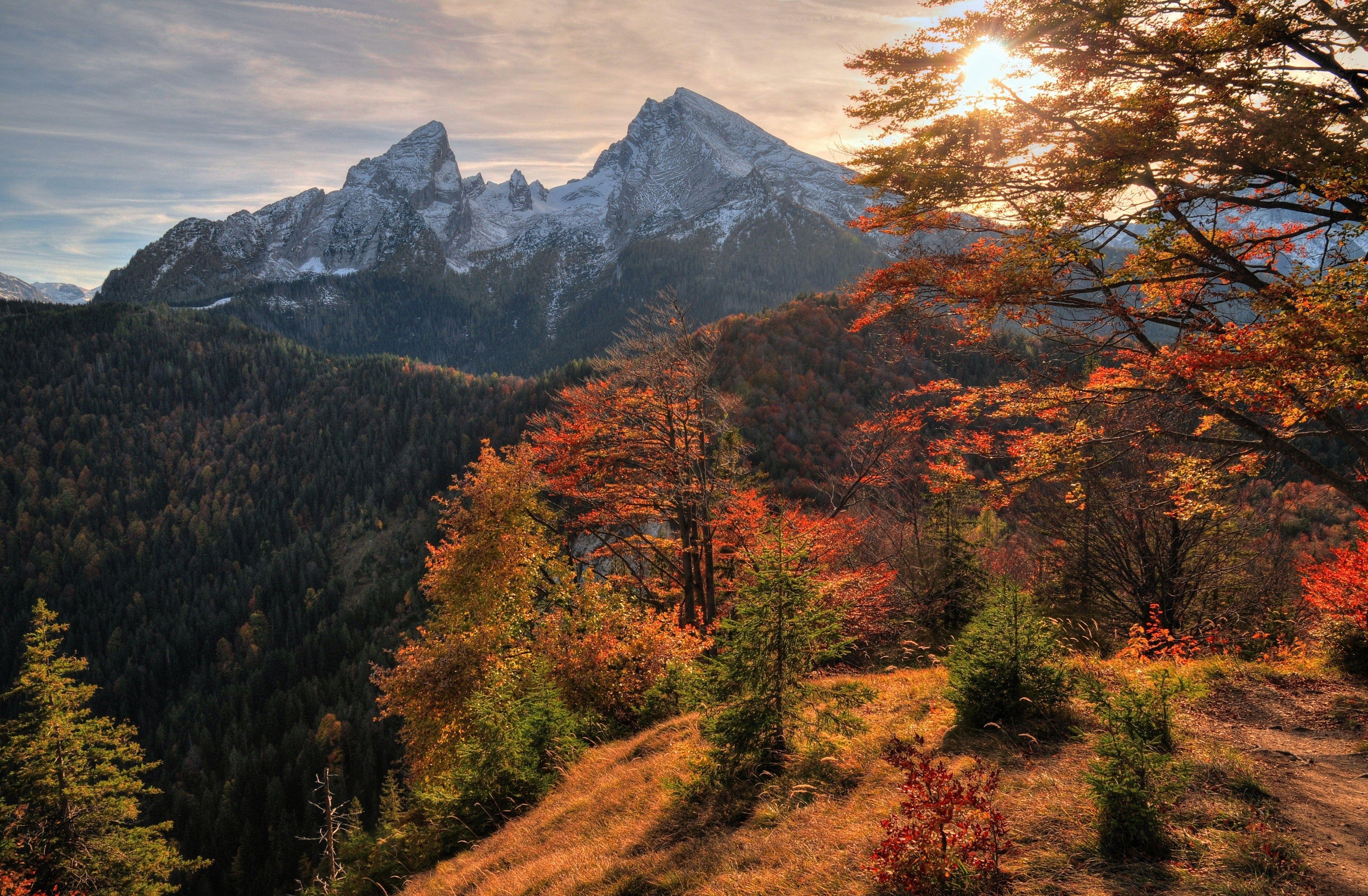 Forest Mountains And Landscape Fall Wallpapers
