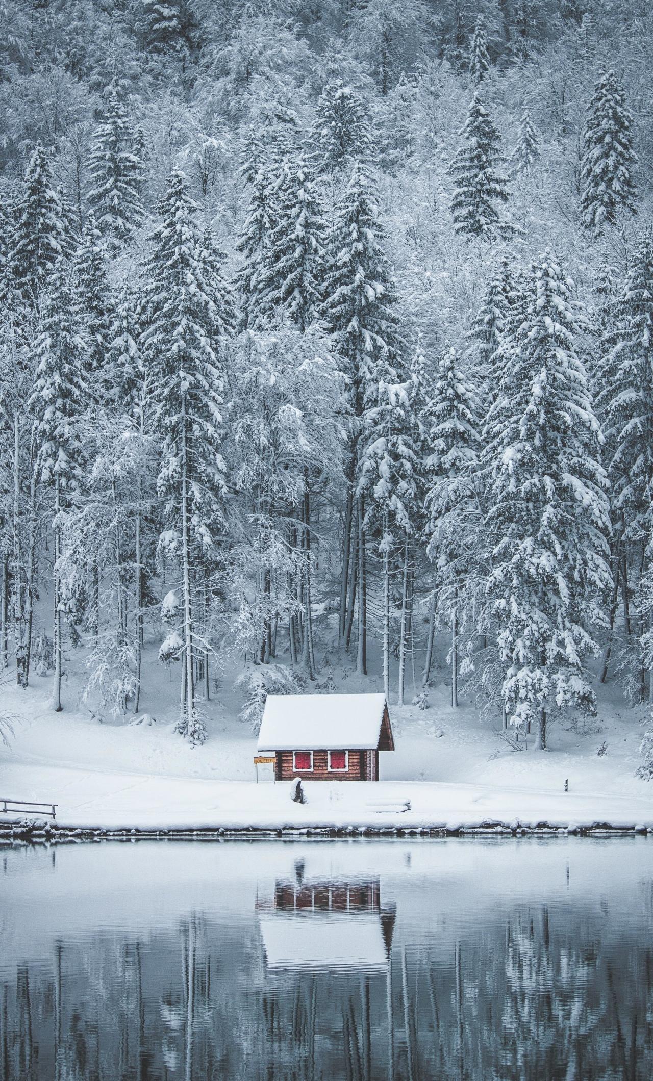 Frozen Winter House Wallpapers