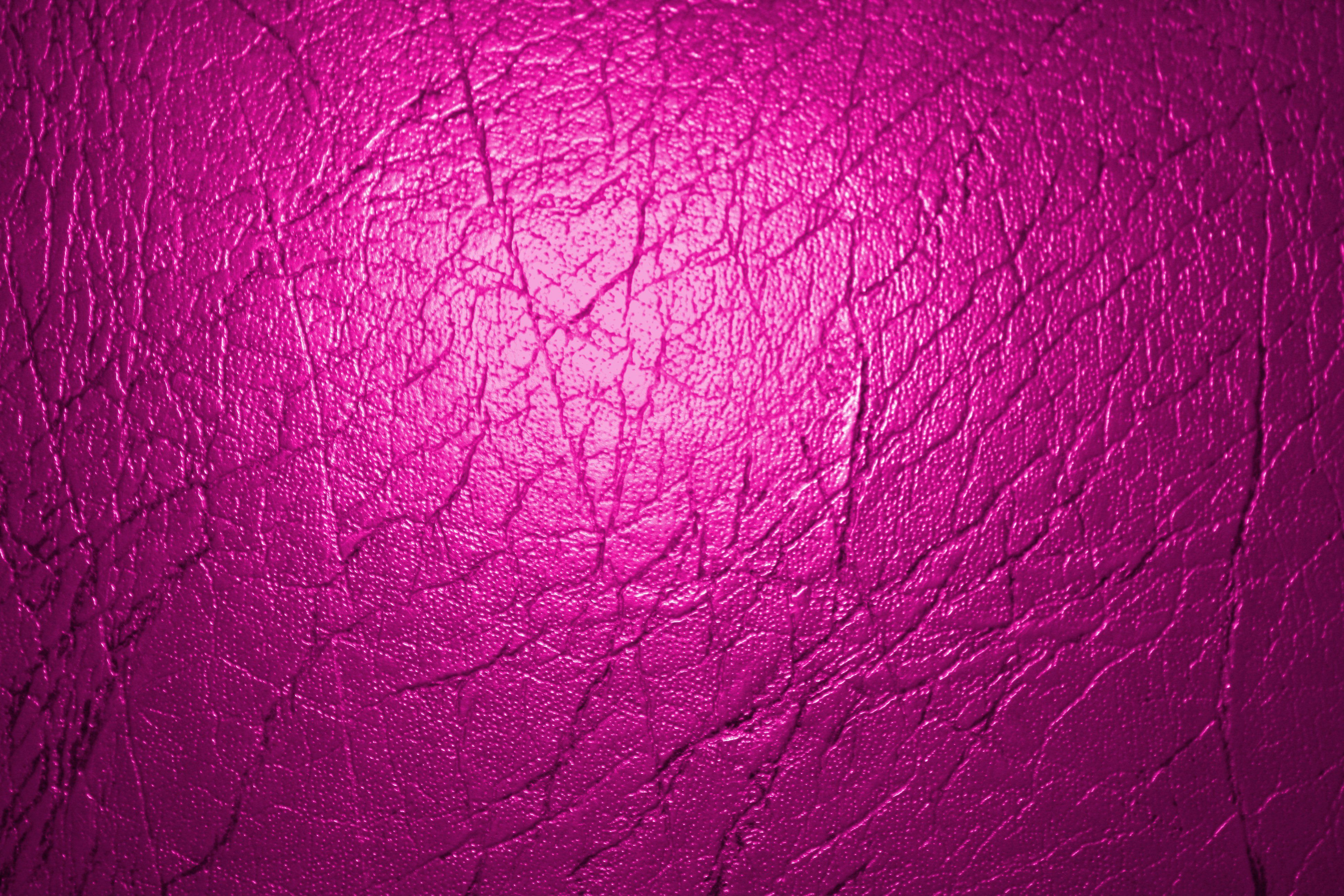 Fuchsia Wallpapers