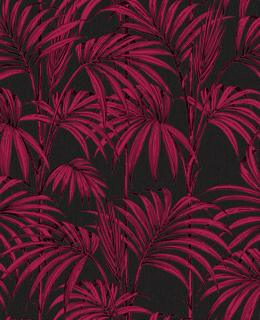 Fuchsia Wallpapers