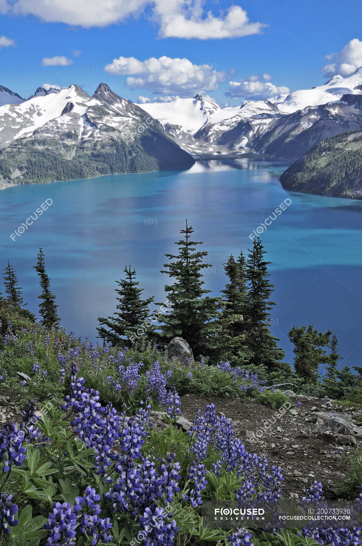 Garibaldi Lake Wallpapers