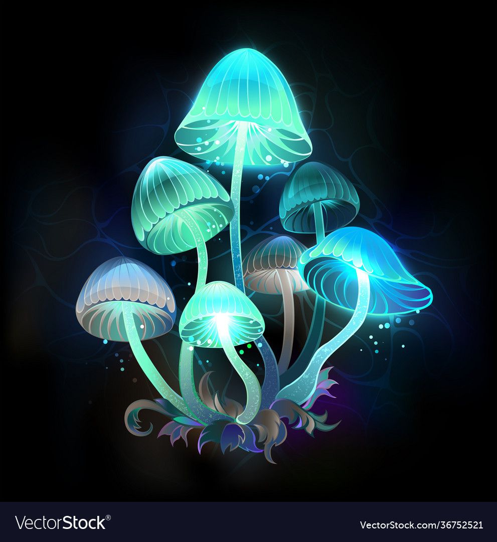 Glowing Mushroom Wallpapers