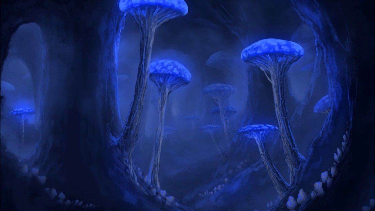 Glowing Mushroom Wallpapers