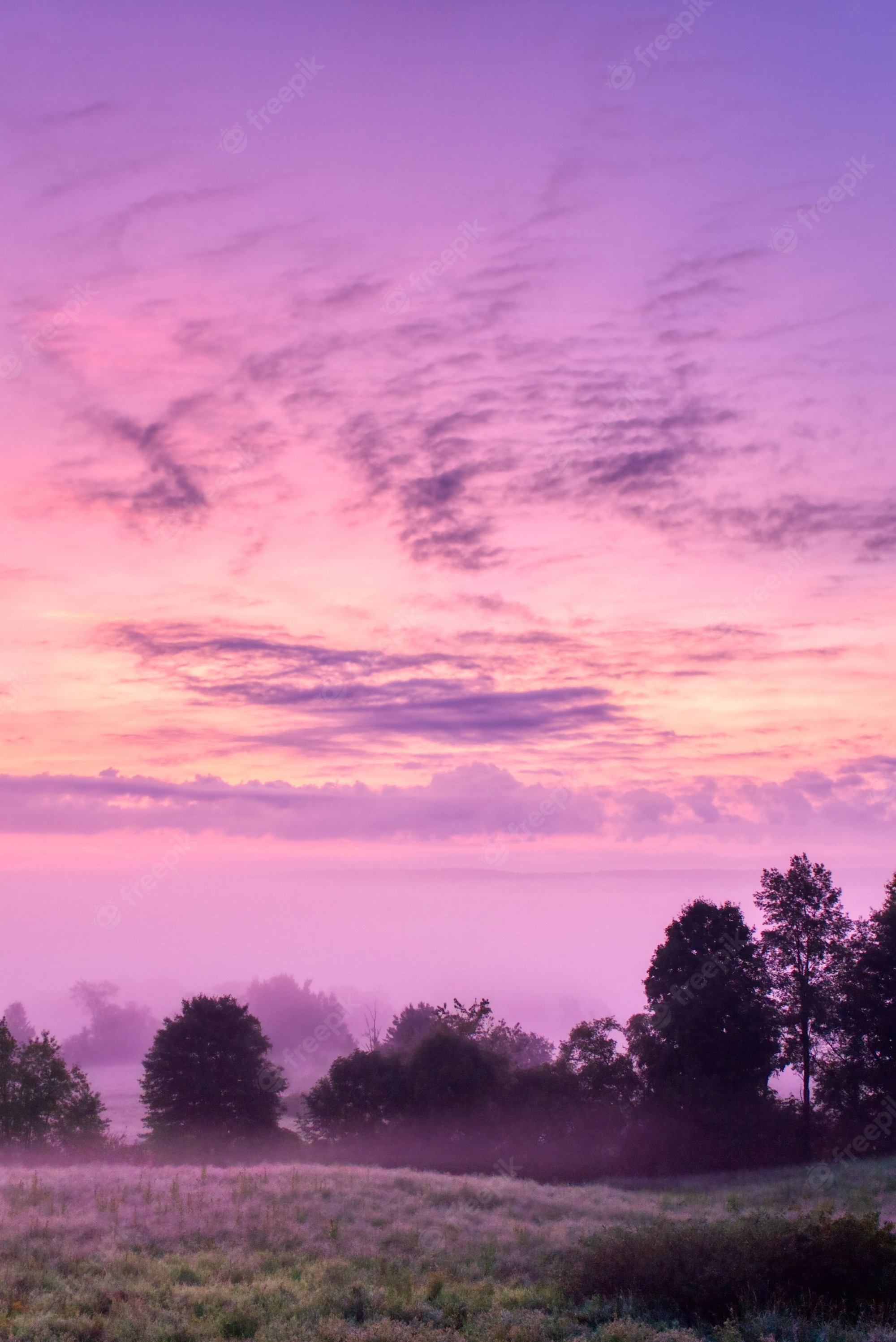 Green Grass And Fogg Under Purple Sky During Sunset Wallpapers