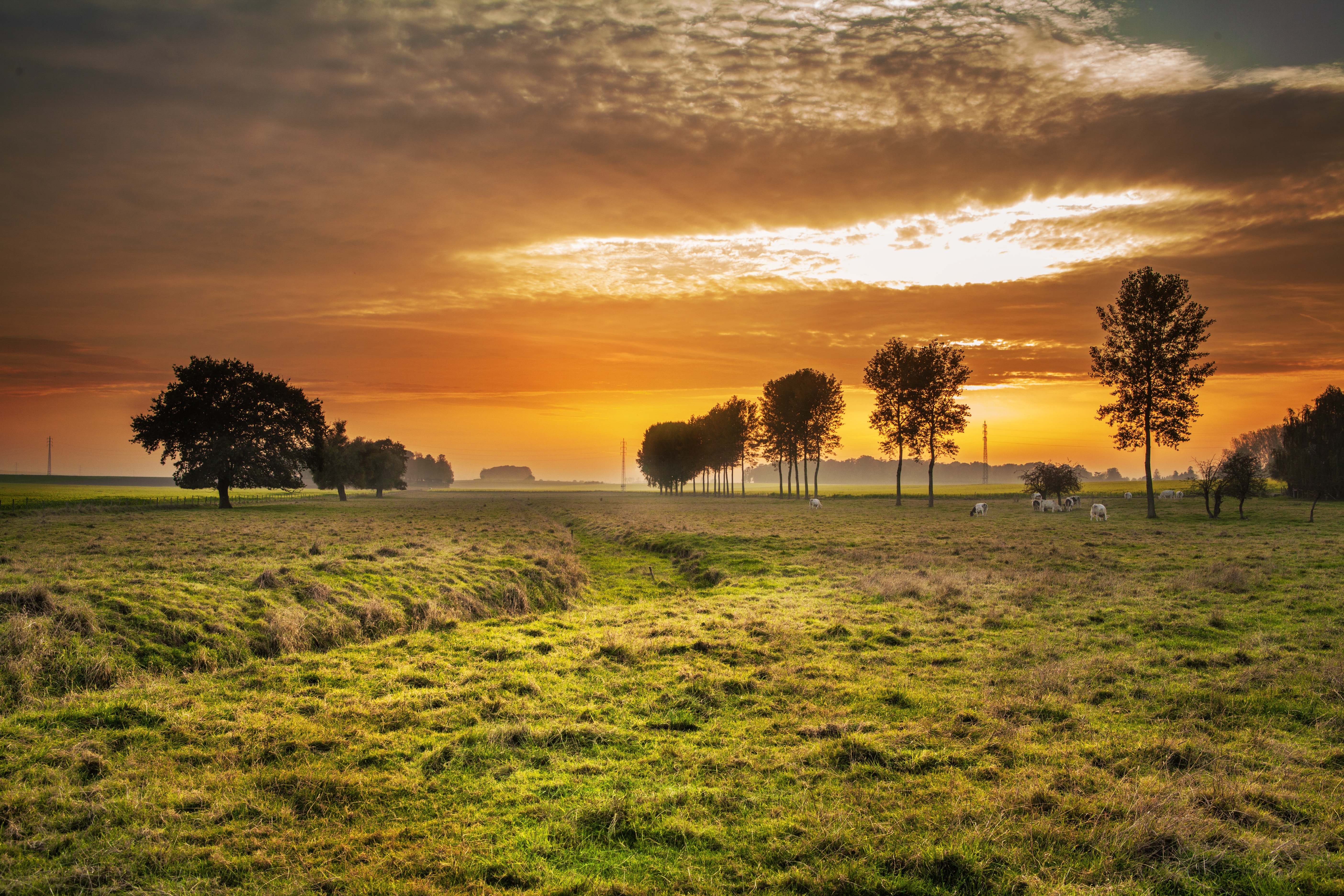 Green Grass And Fogg Under Purple Sky During Sunset Wallpapers