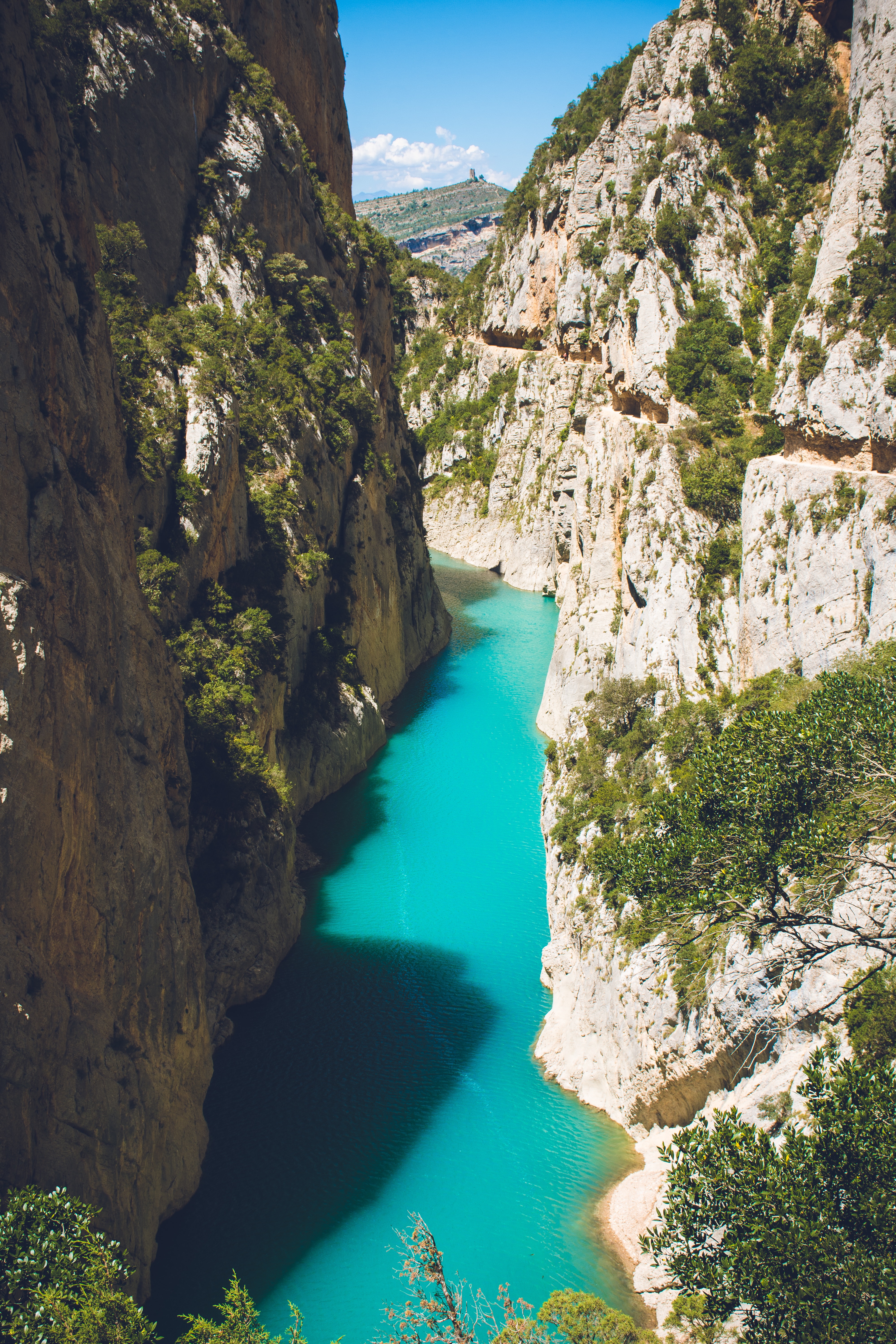 Green Trees Covered Mountains Surrounded By Occean Wallpapers