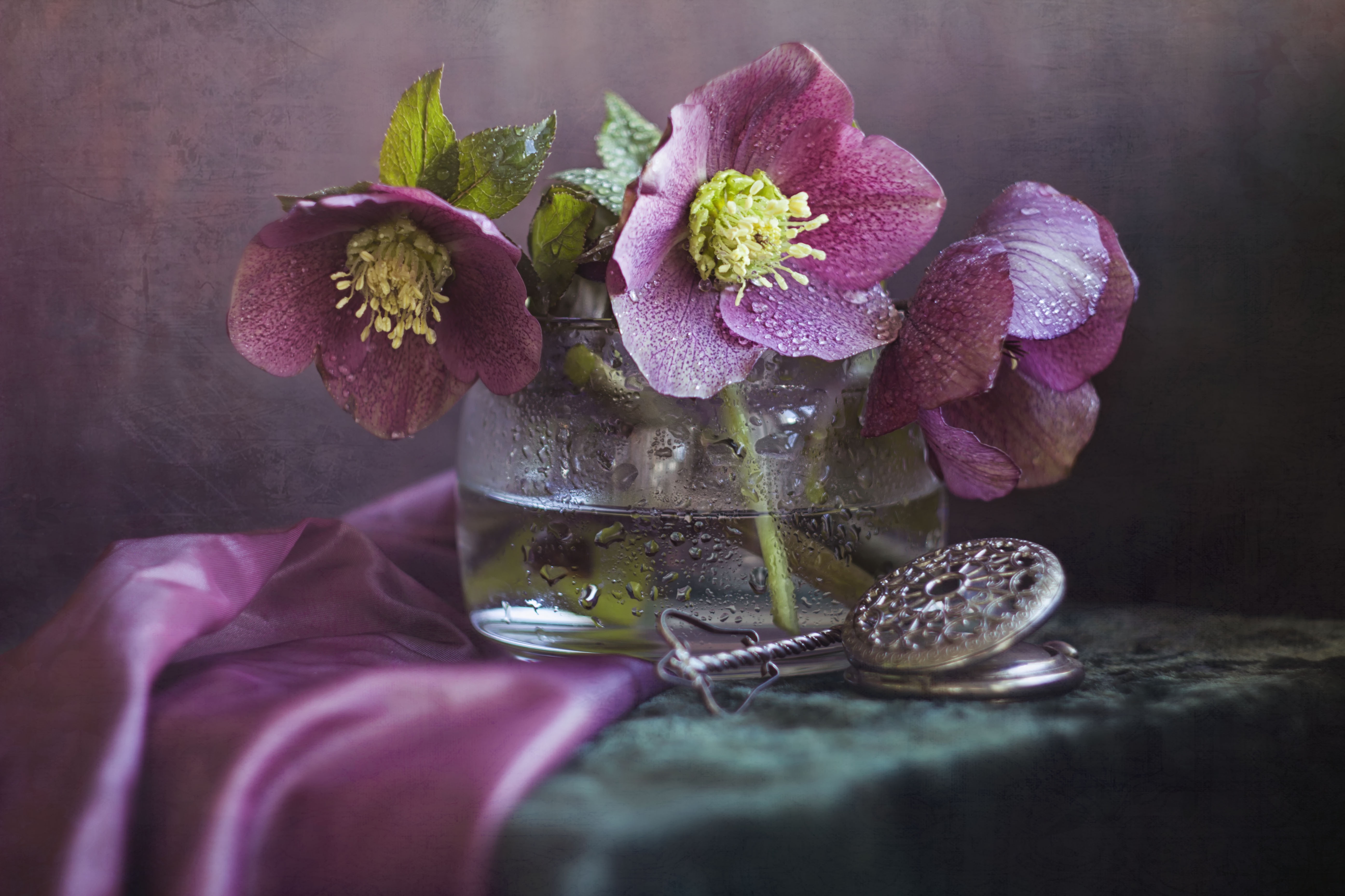 Hellebore Wallpapers