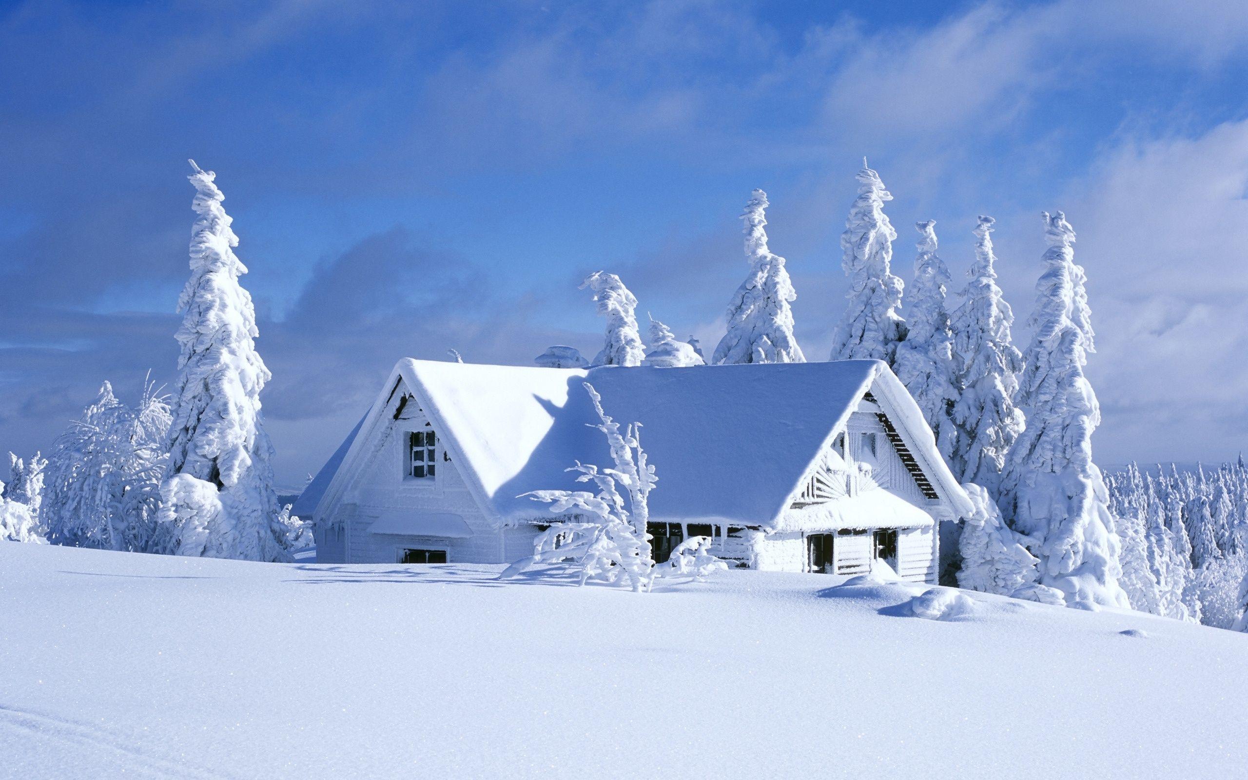 Hut House In Snowy Night Wallpapers