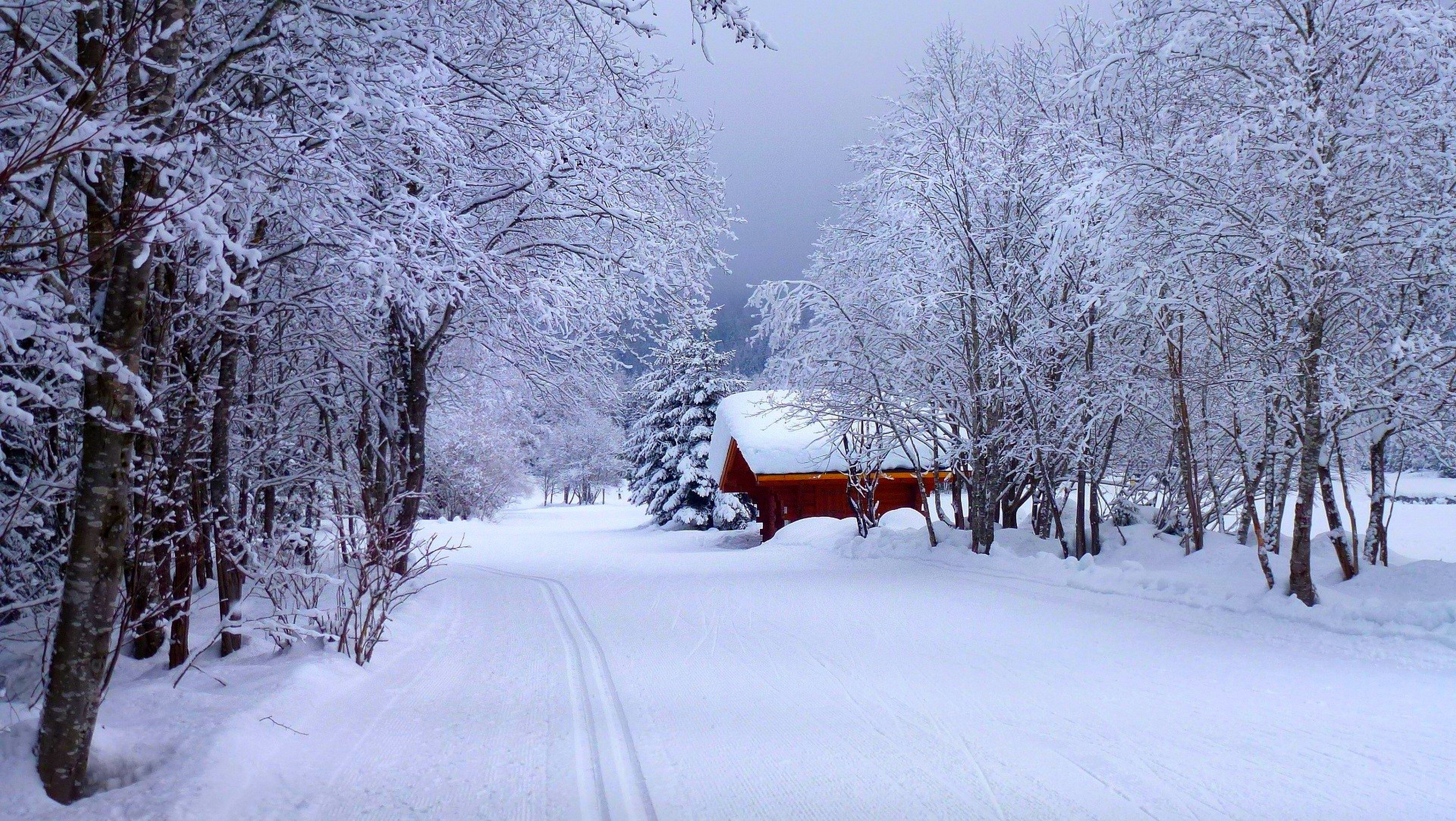 Hut House In Snowy Night Wallpapers