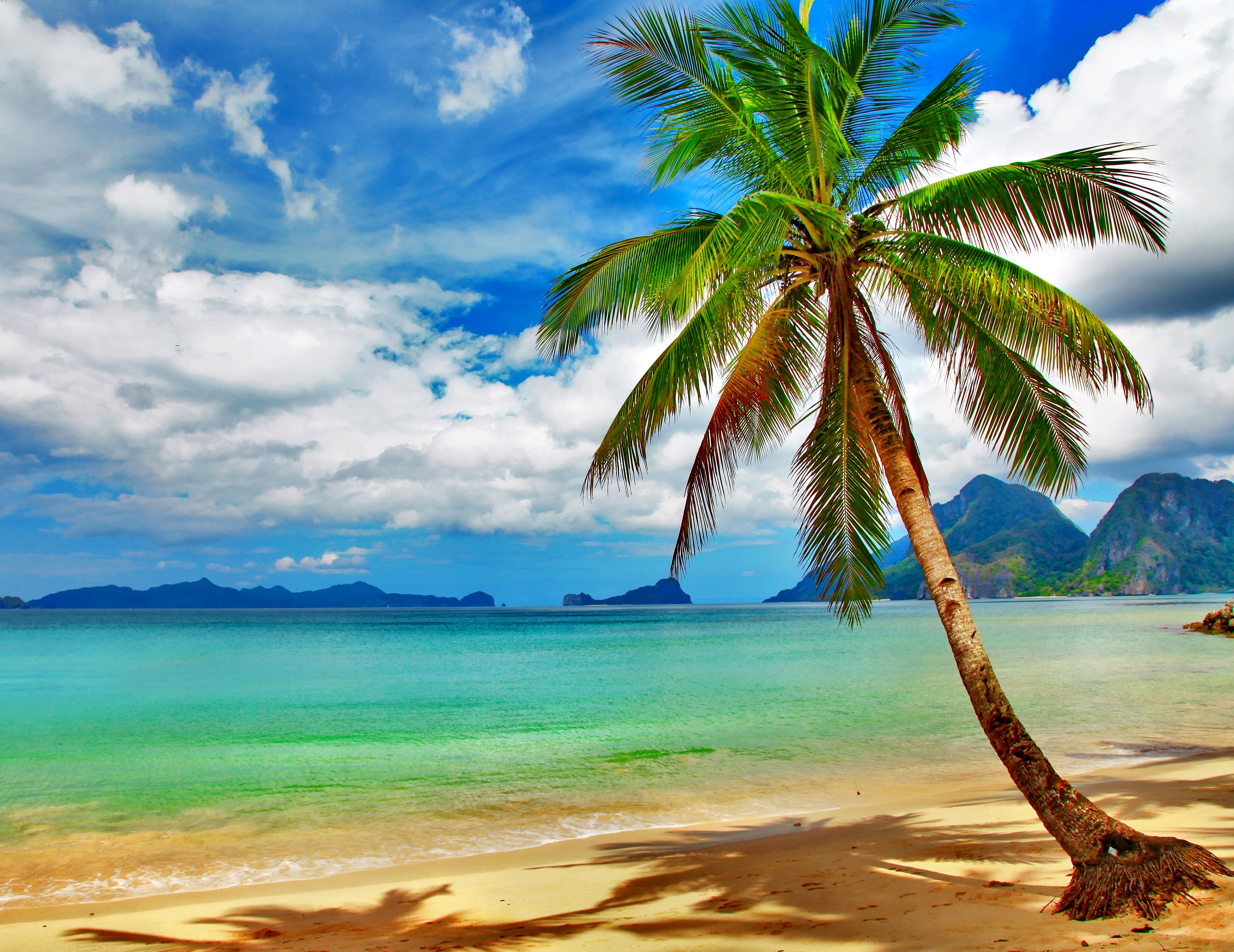 Tropical Beach Desktop Background