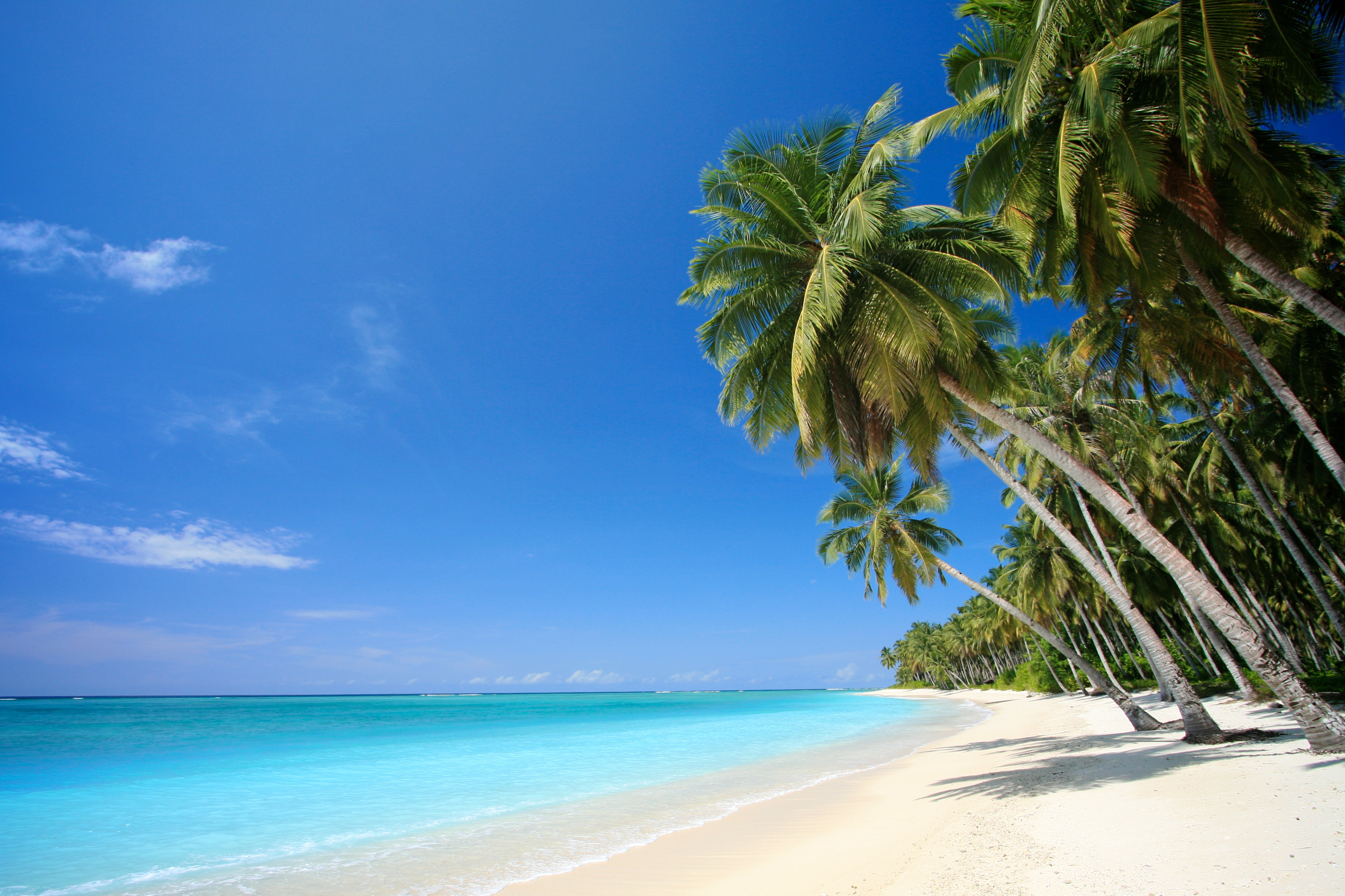 Tropical Beach Desktop Background