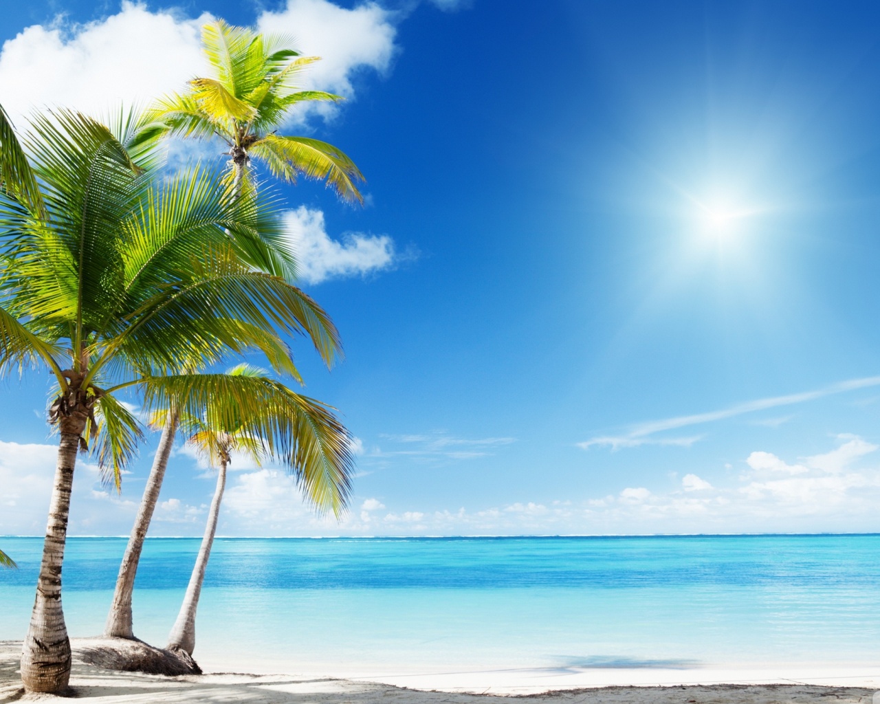 Tropical Beach Desktop Background