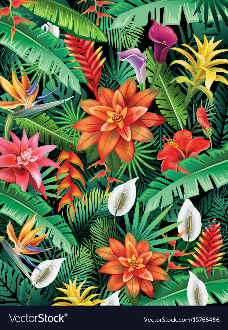 Tropical Vector Background