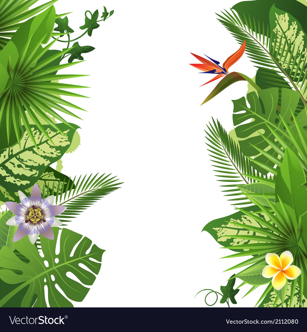 Tropical Vector Background