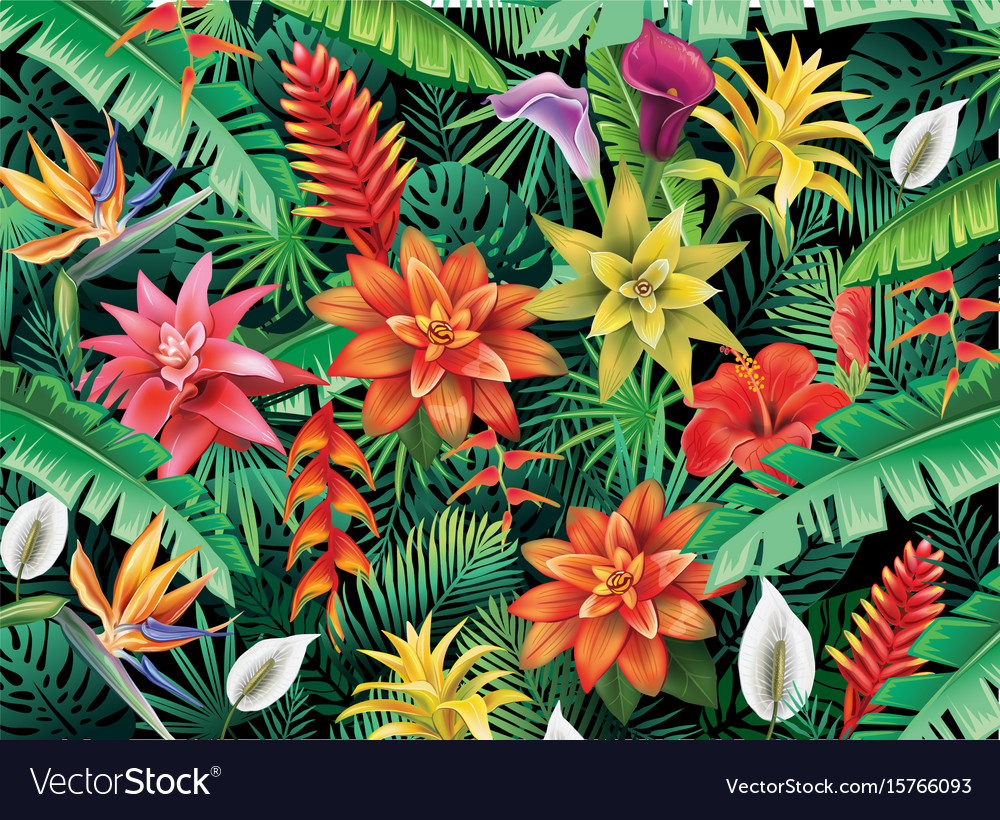 Tropical Vector Background