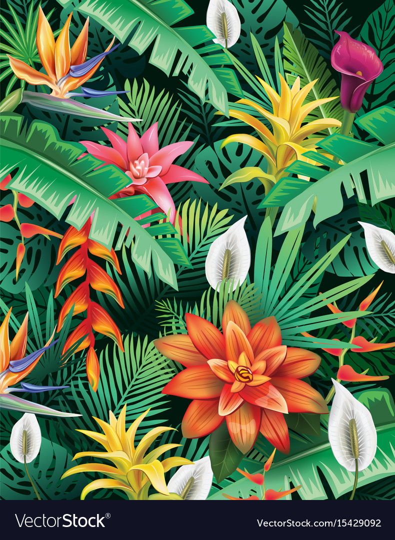 Tropical Vector Background