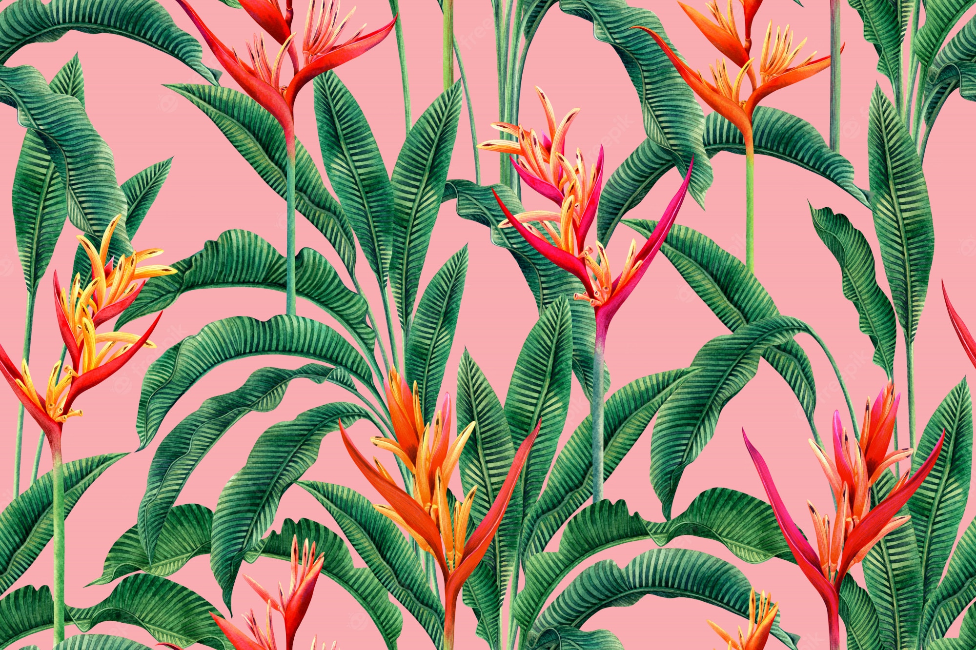 Tropical Watercolor Background